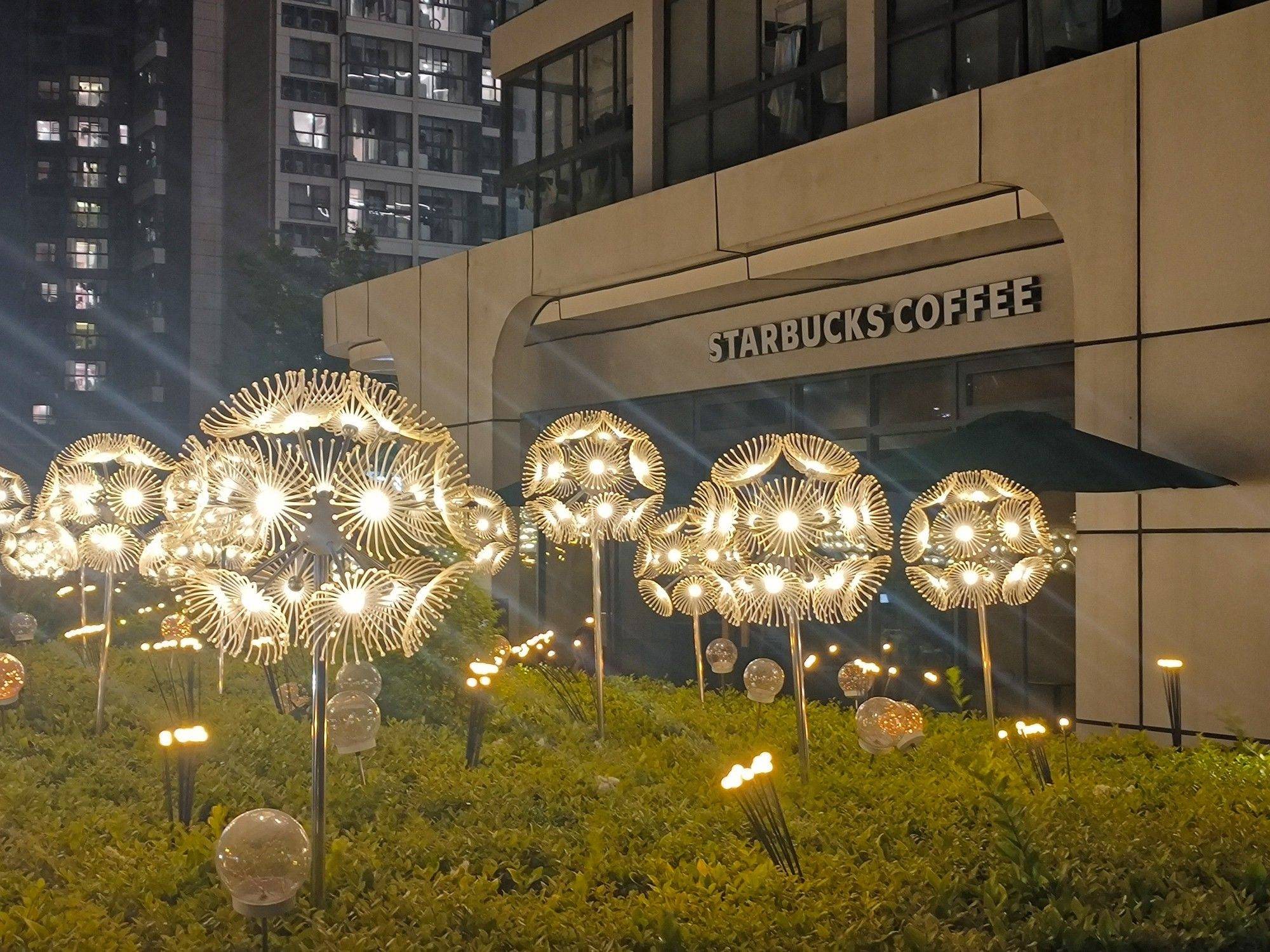 夏天一到 光和影子变得愈加好看起来_3