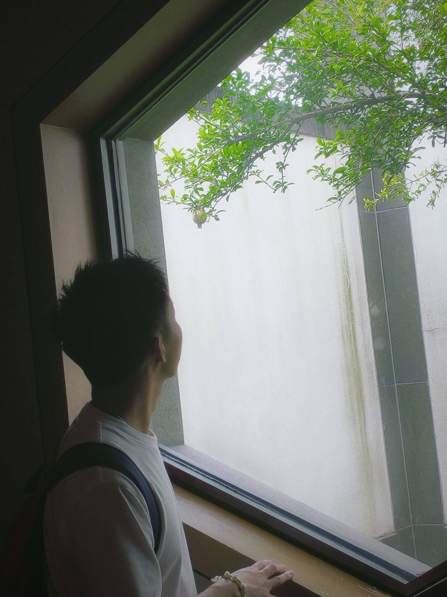 上海六月中旬求合租