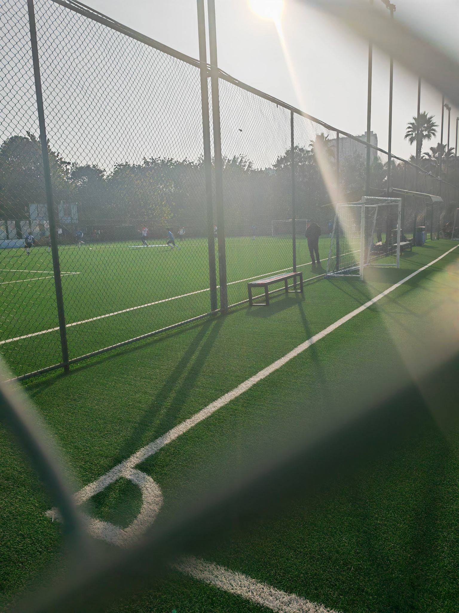 人不能没有热爱的事情，不然跟咸鱼有何区别_2