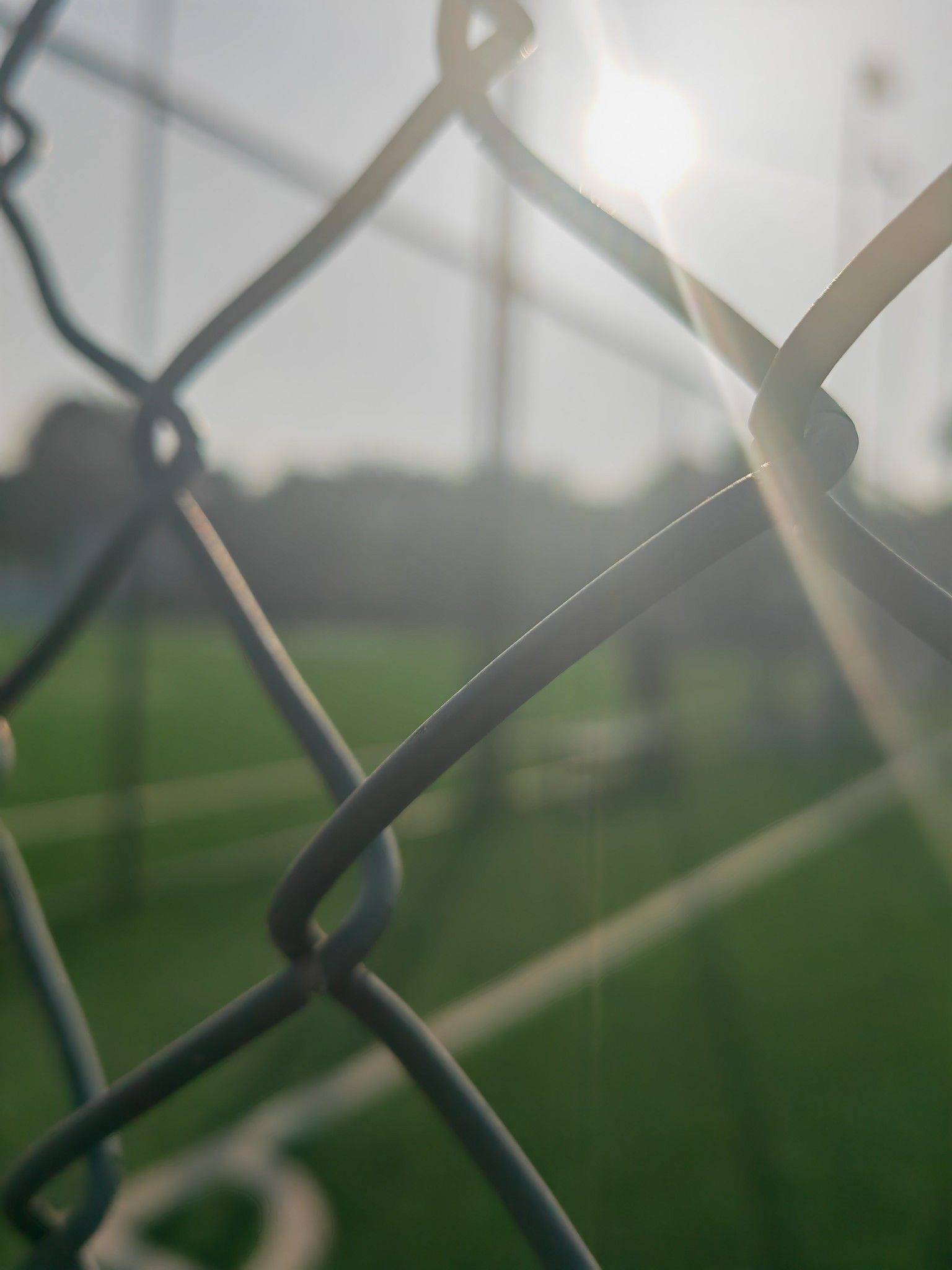 人不能没有热爱的事情，不然跟咸鱼有何区别