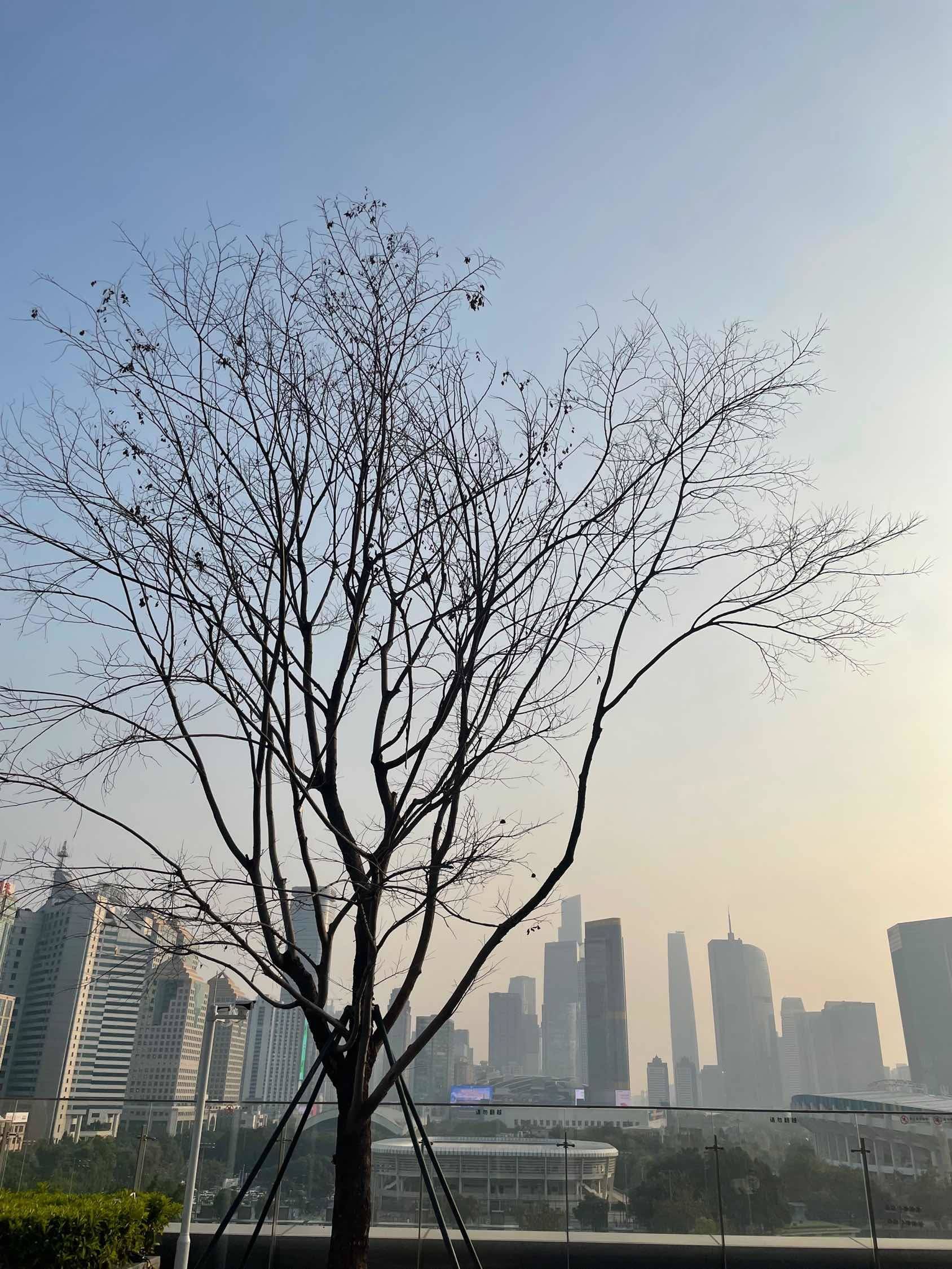 广州大沙东地铁站，房东直租，可短，可歪国仁
