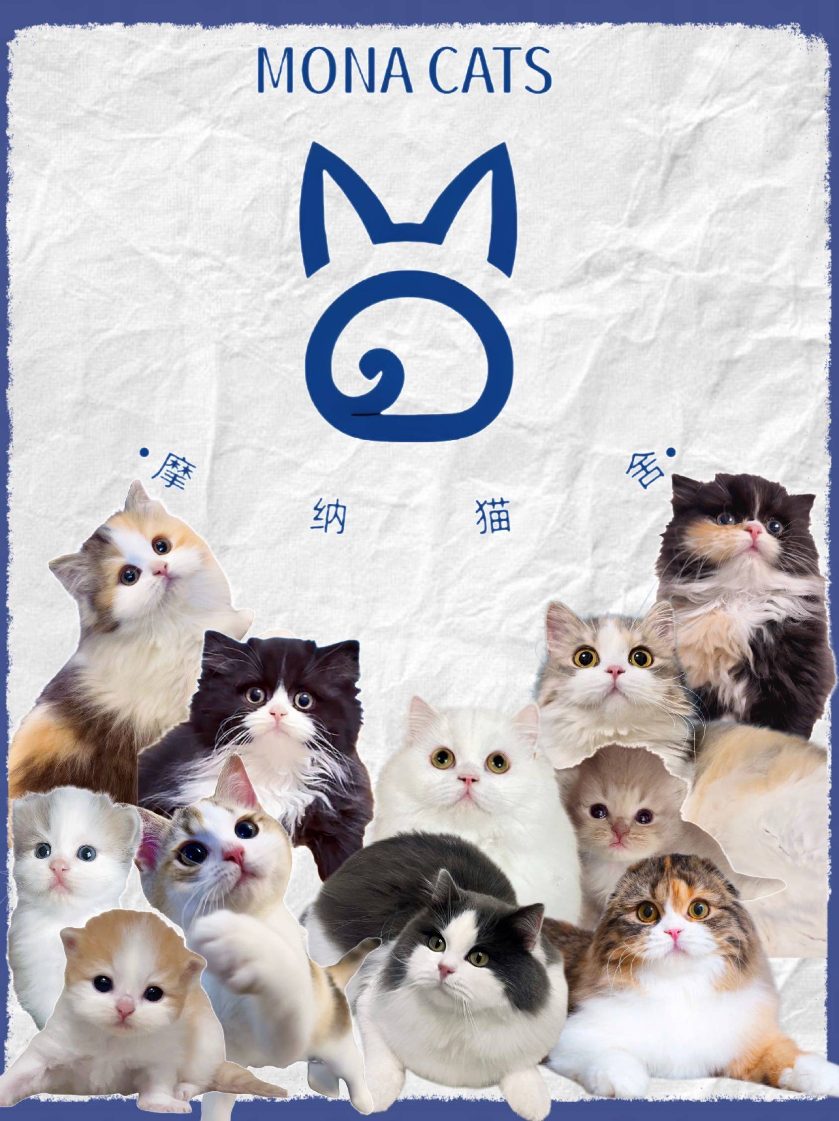 我和我的后宫你选哪个_1