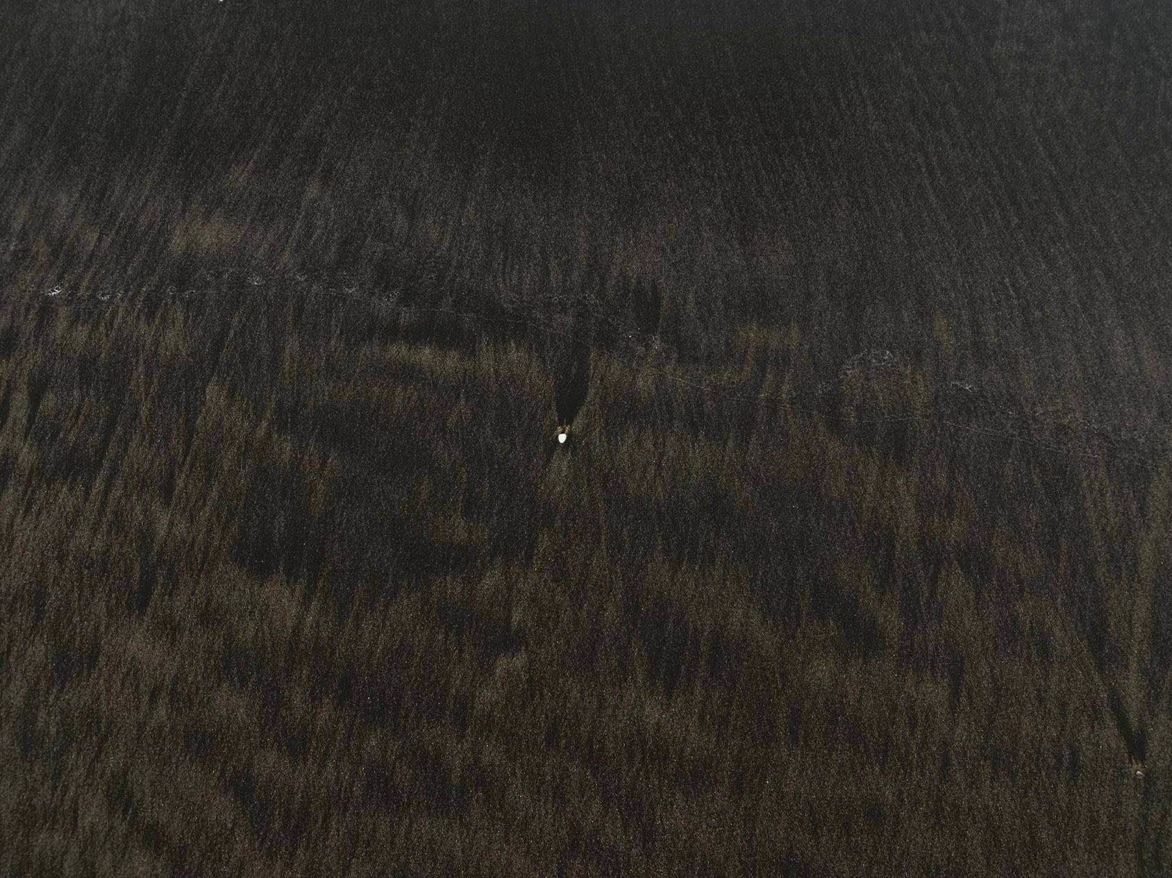   wake-my-city _3