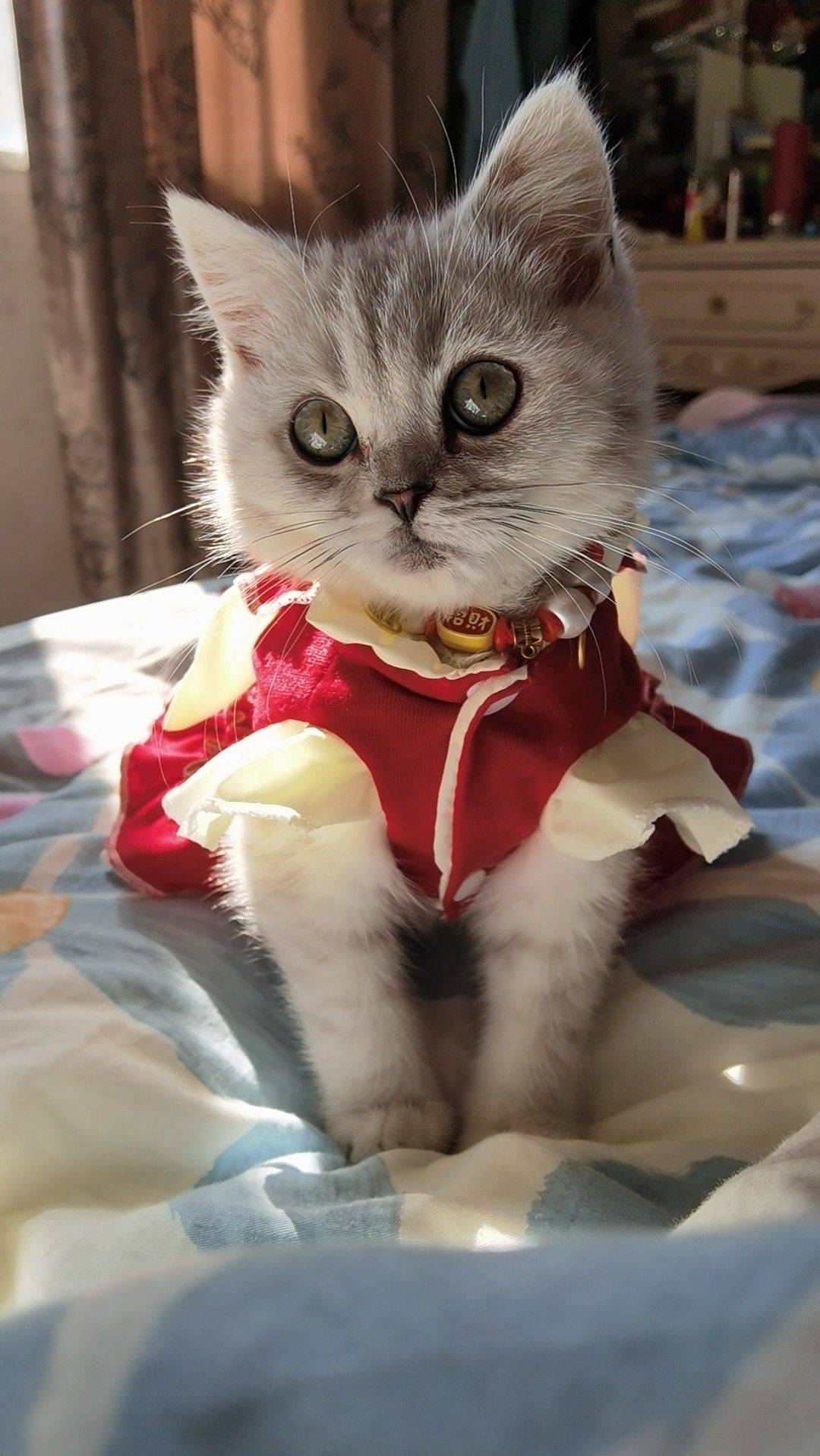 长沙租房看看我，房东本人(๑>◡<๑)😆_0