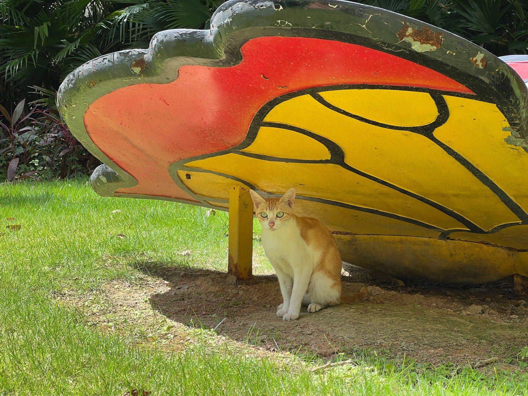 很久没来了，以后也应该很久不来了