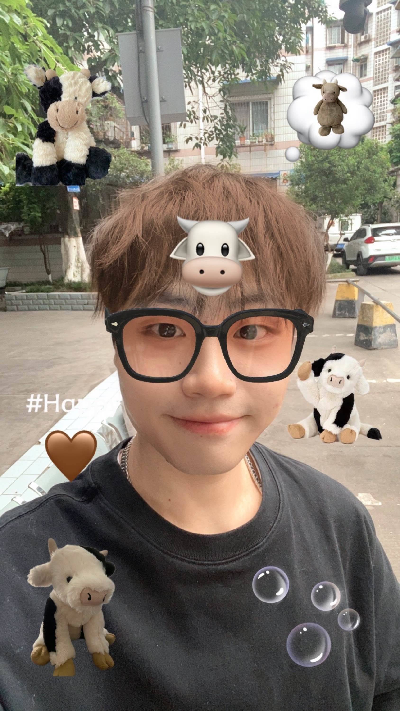 90后找租友咯