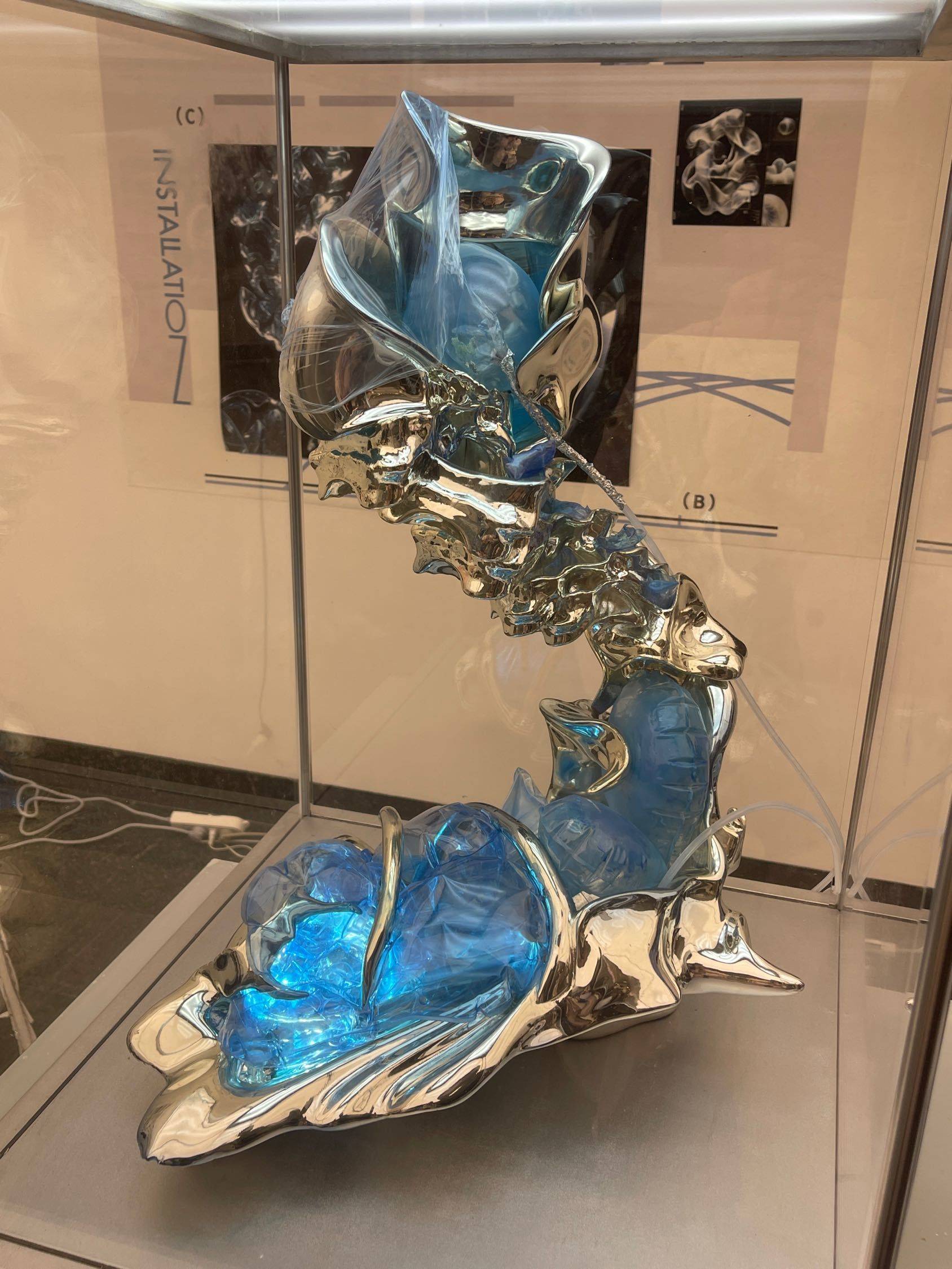 某大学毕业设计展
