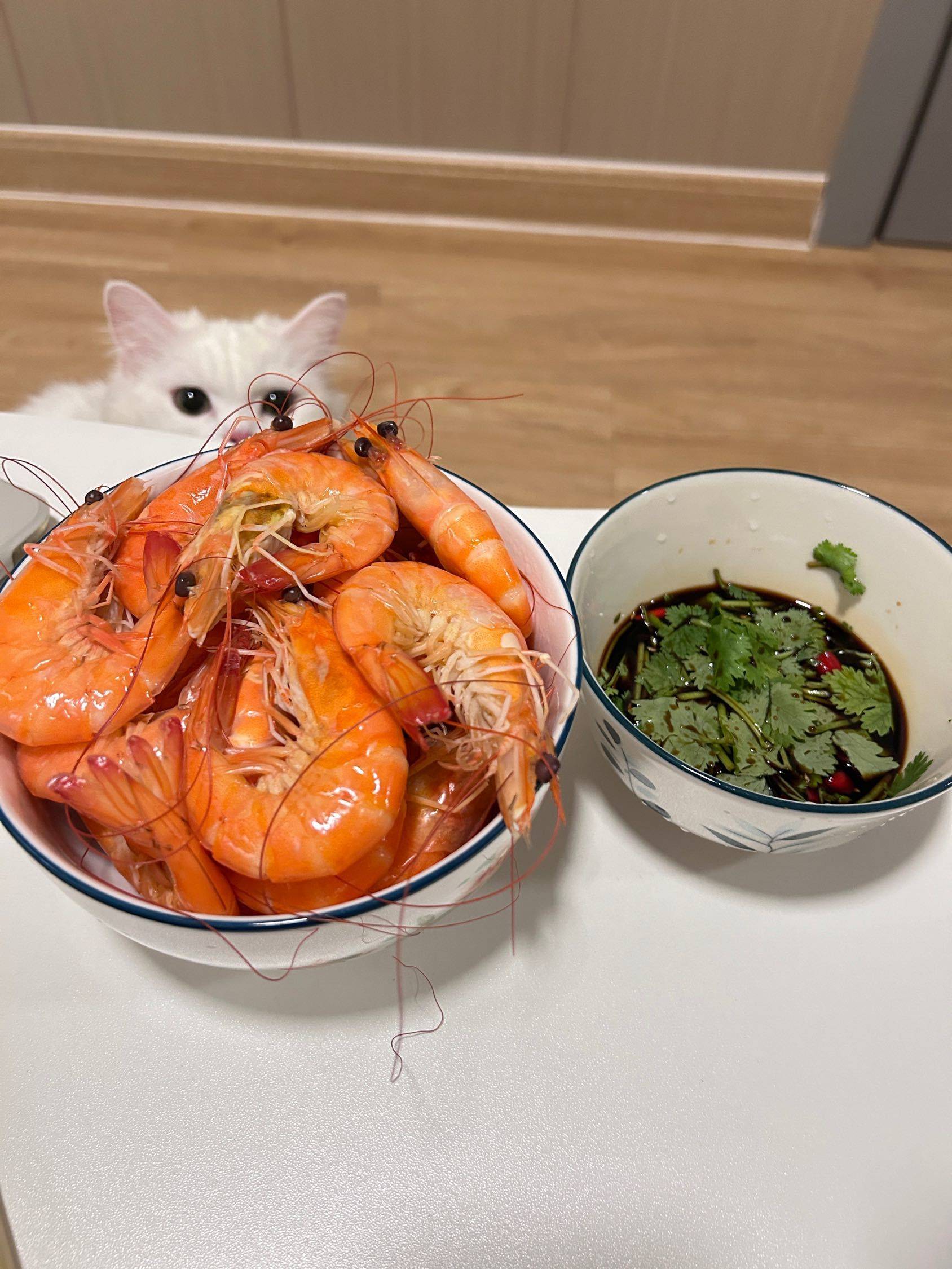 想吃😋 找搭子 