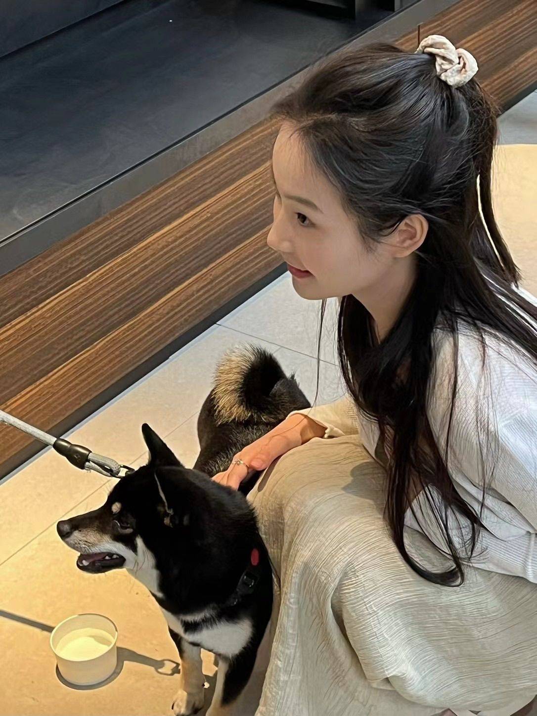 怎么会有这么可爱的狗狗_1