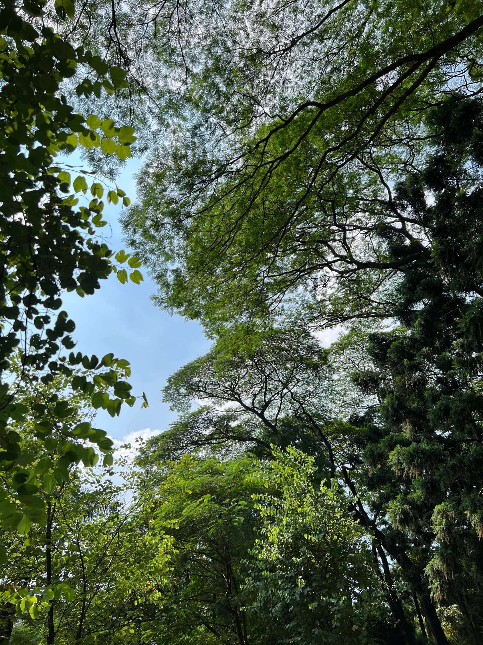 他强由他强，清风拂山岗；他横由他横，明月