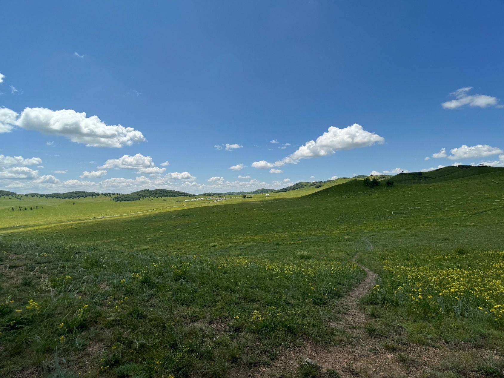 我的草原我的马_4