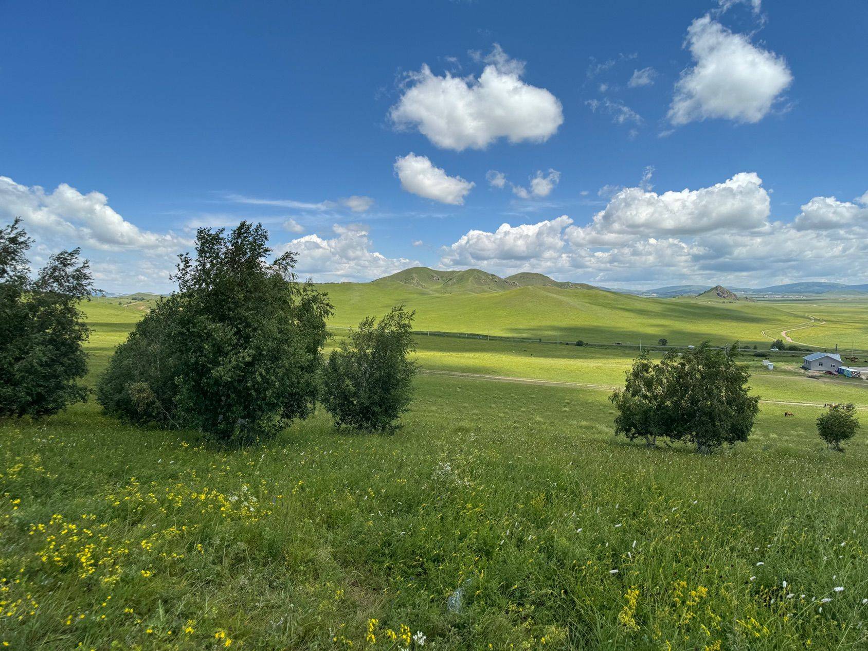 我的草原我的马_2