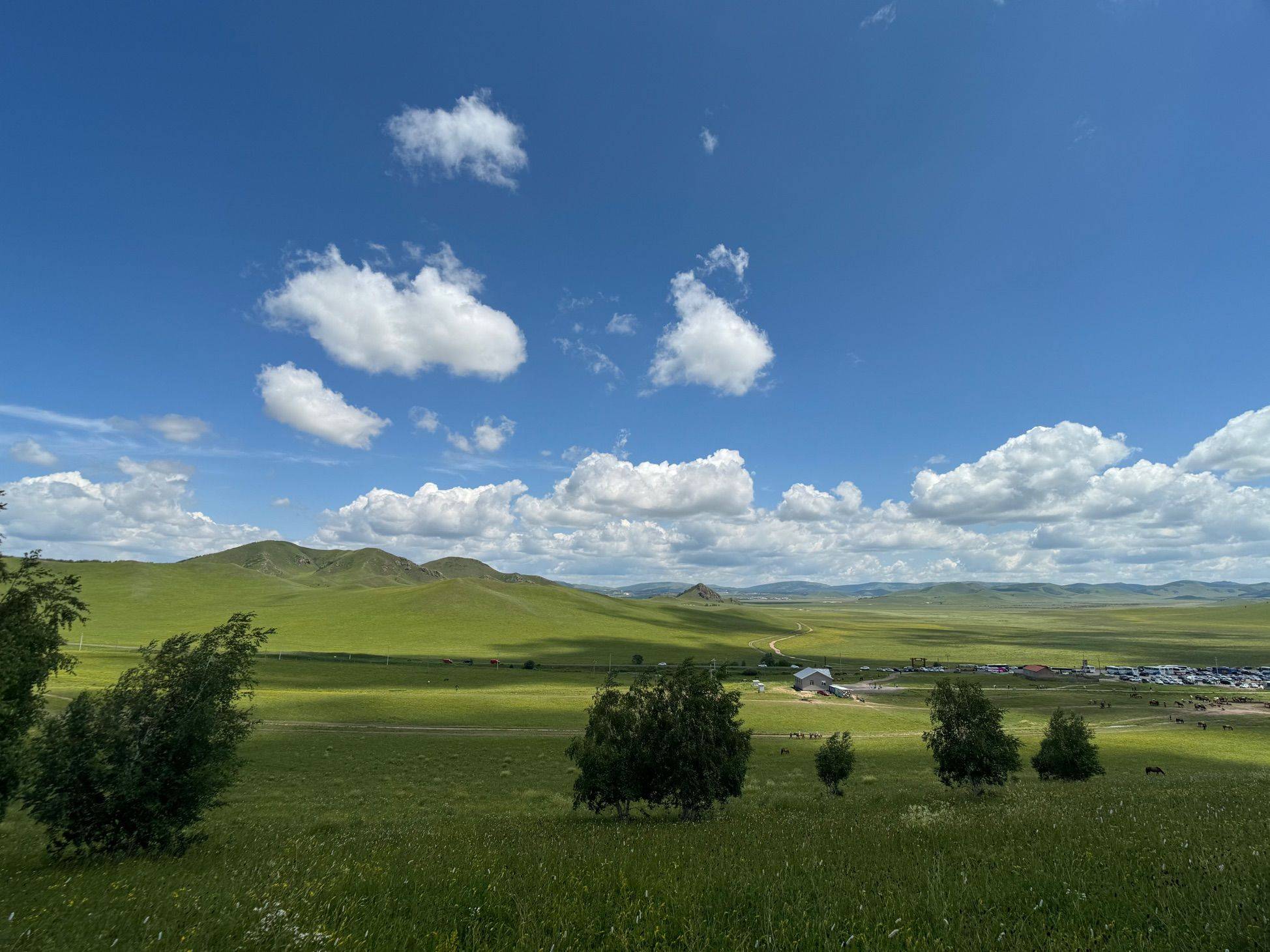 我的草原我的马_3