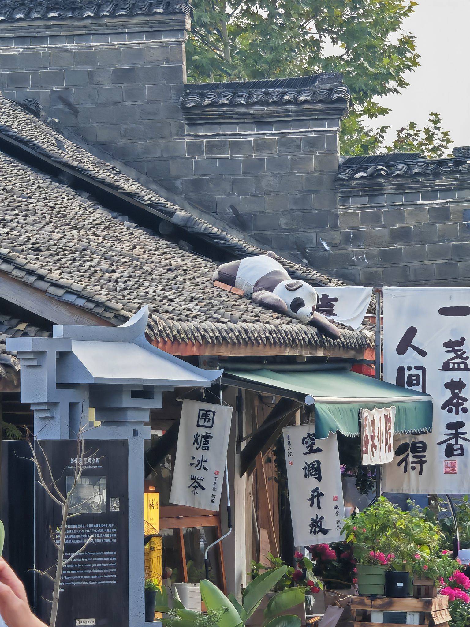 PANDA 在线蹲室友 