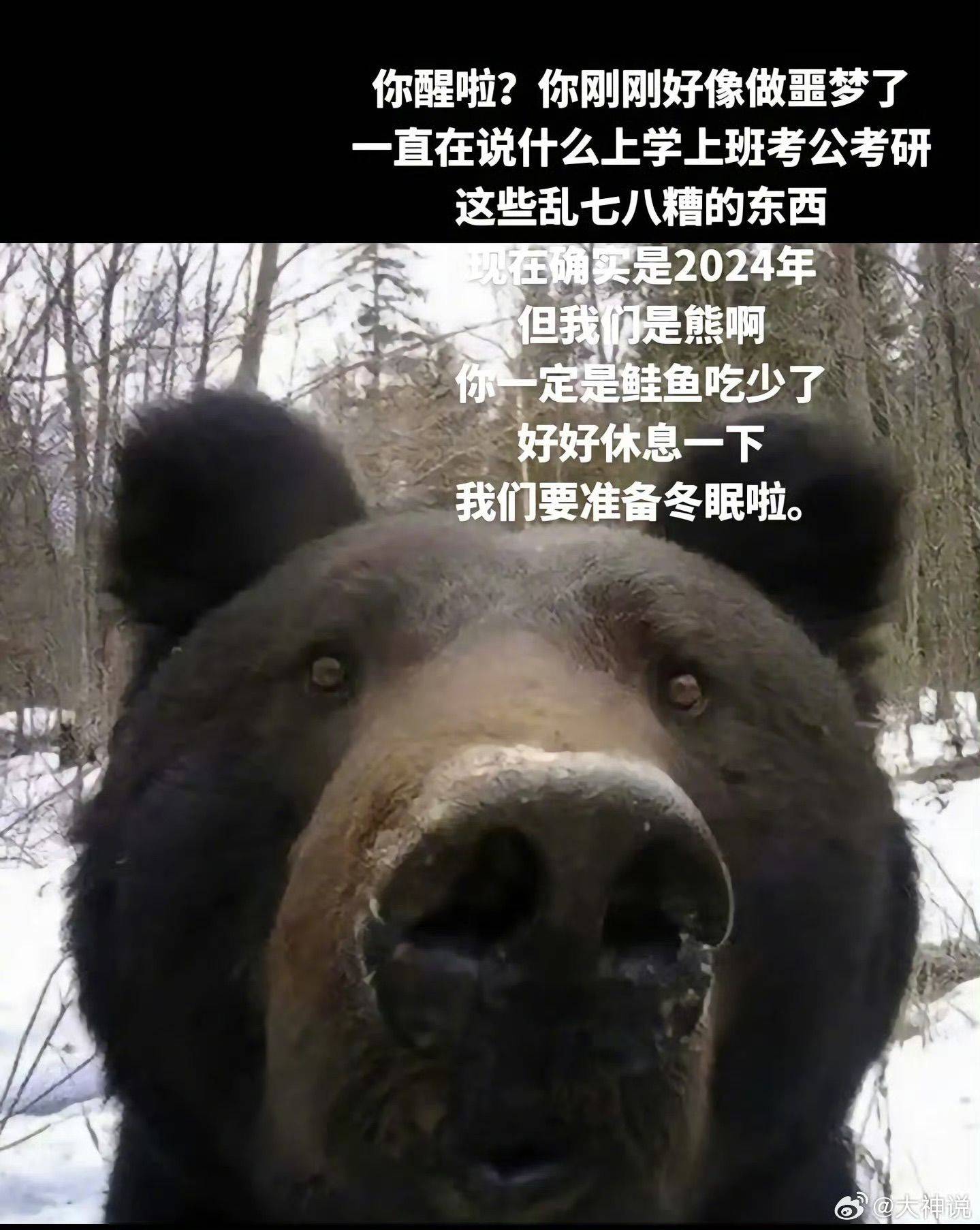 寻黄埔静安阳光充足的房子🥹_2