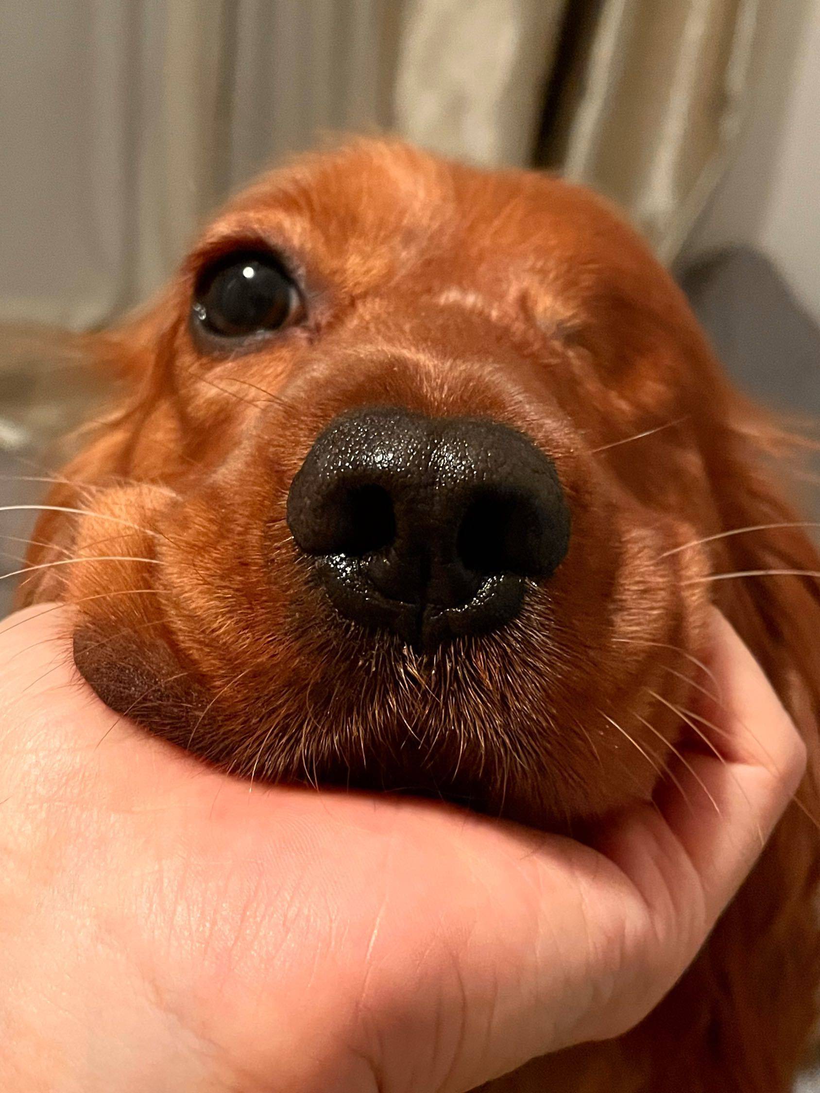 寻黄埔静安阳光充足的房子🥹_1