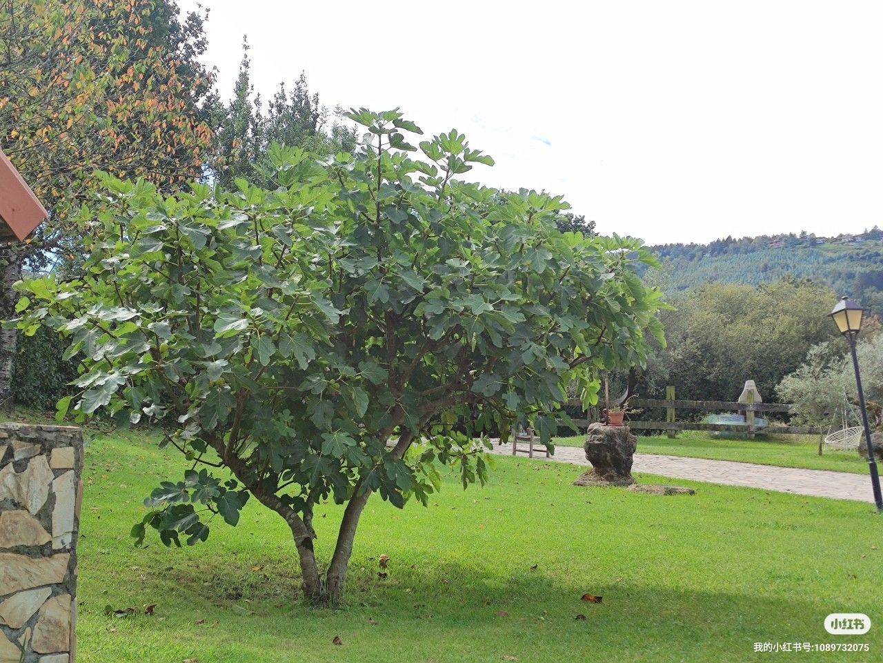 Beautiful autumn_3