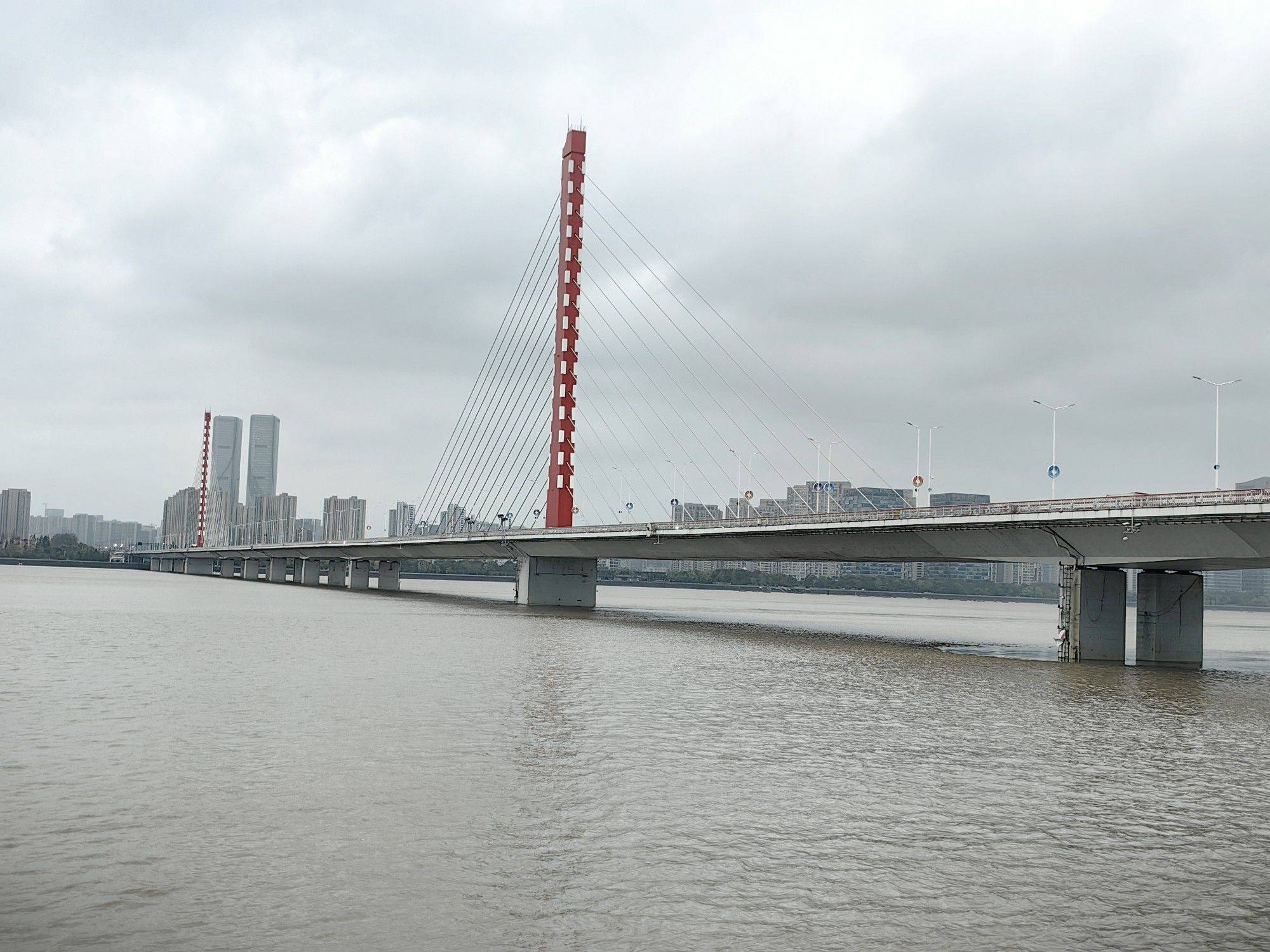 【钱塘江畔，绿道漫步】🌿🌊_1