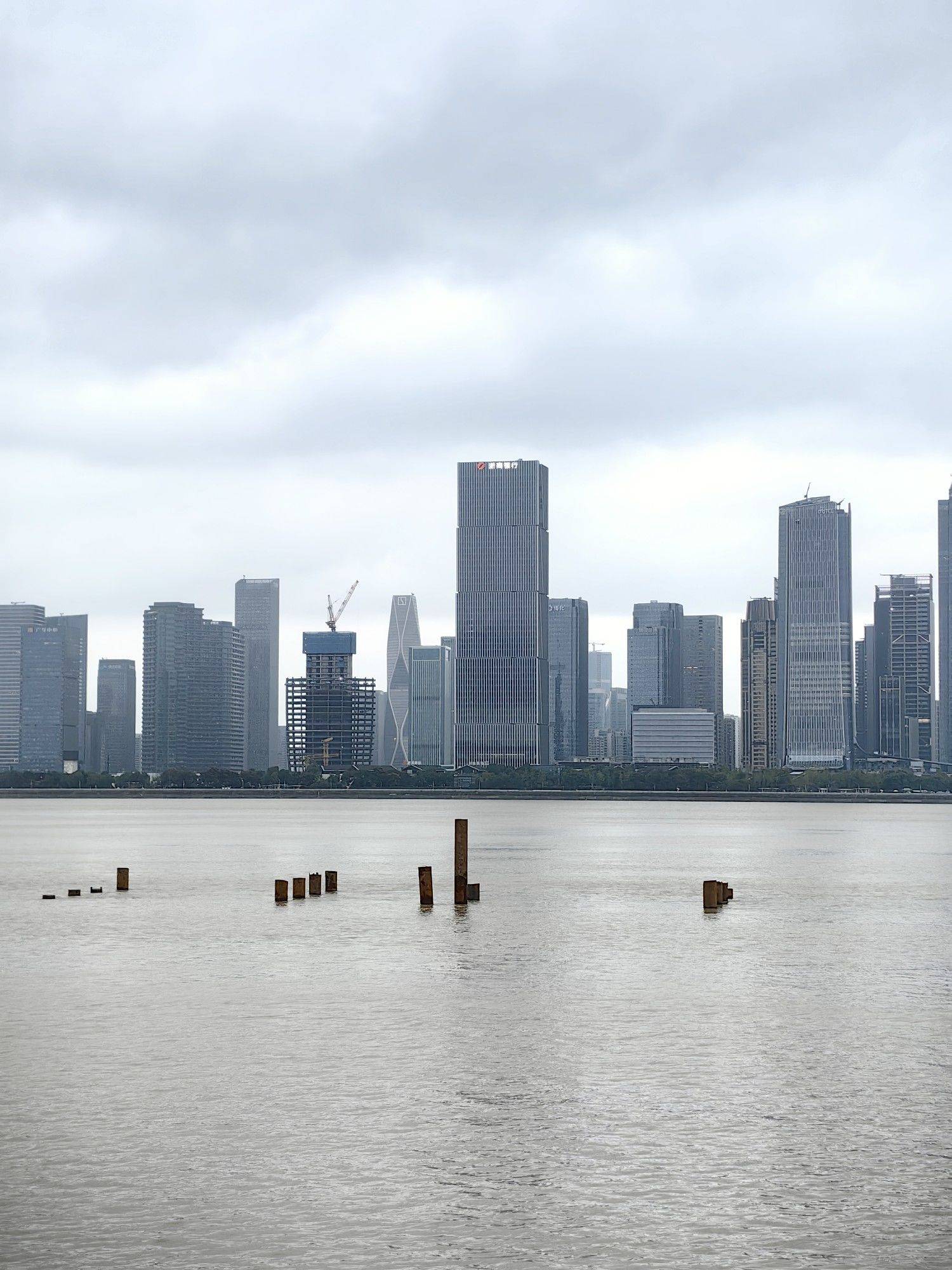 【钱塘江畔，绿道漫步】🌿🌊