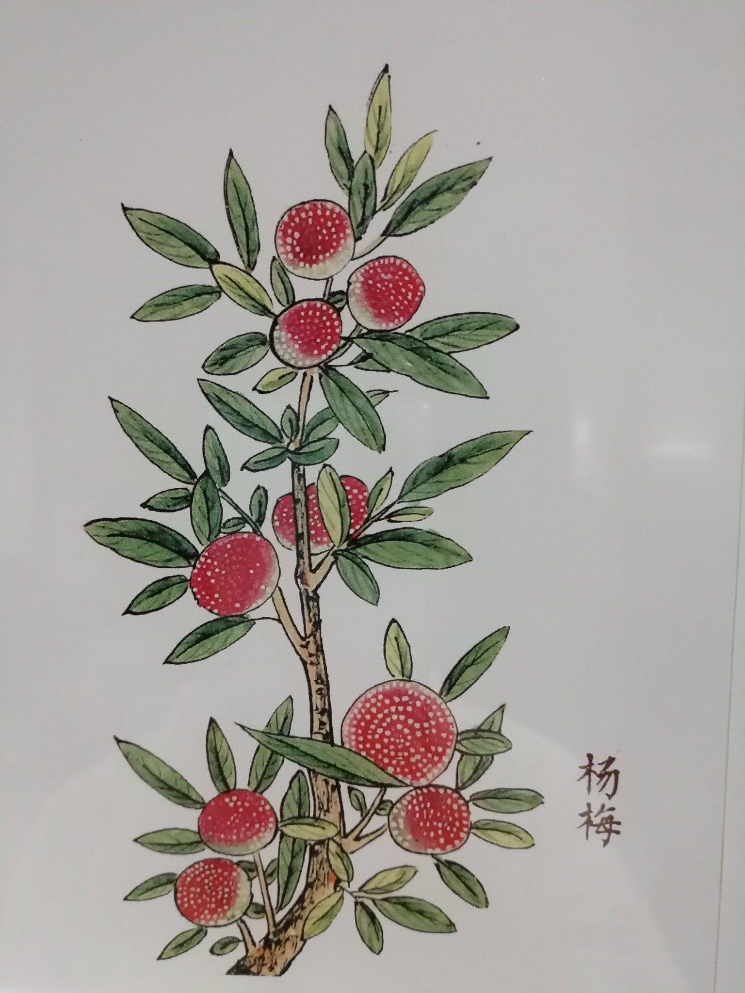  三亚  两房两厅两卫一厨房整租30