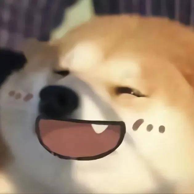 小米10换更新小米15 只能说美滋滋_3