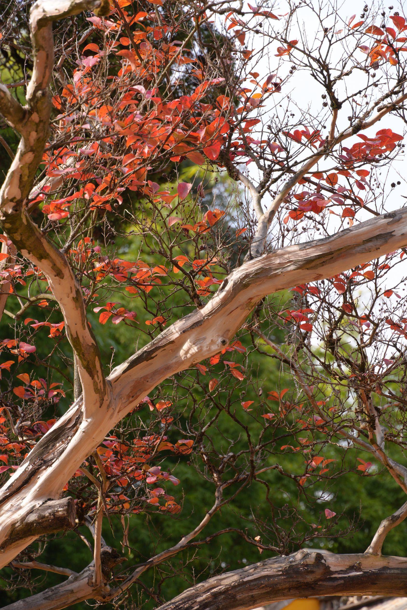 摄影人养成中……_1