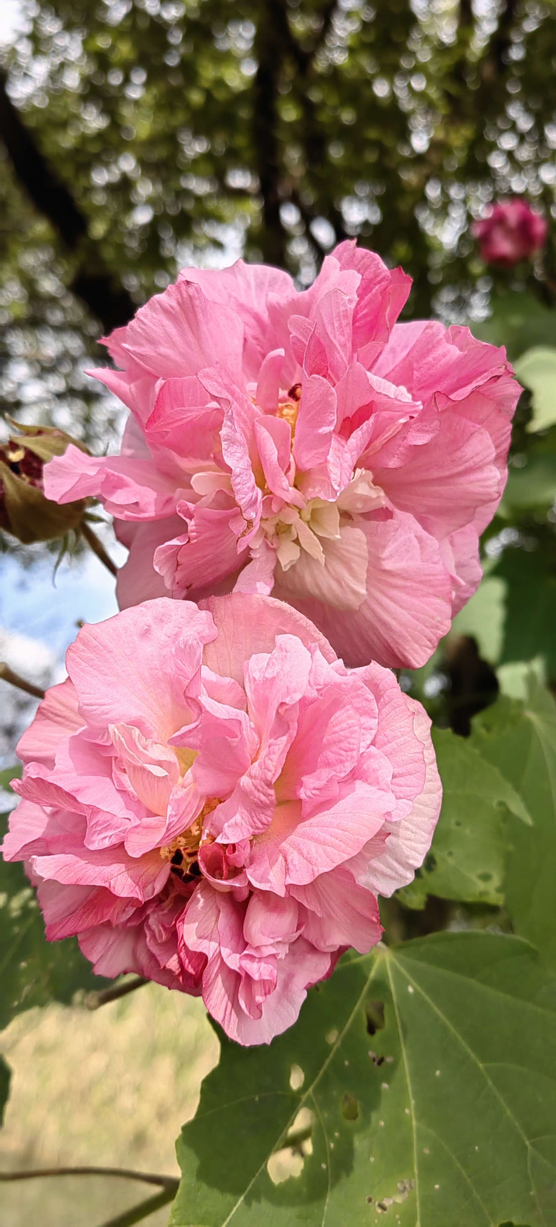 秋天是五颜六色的_3