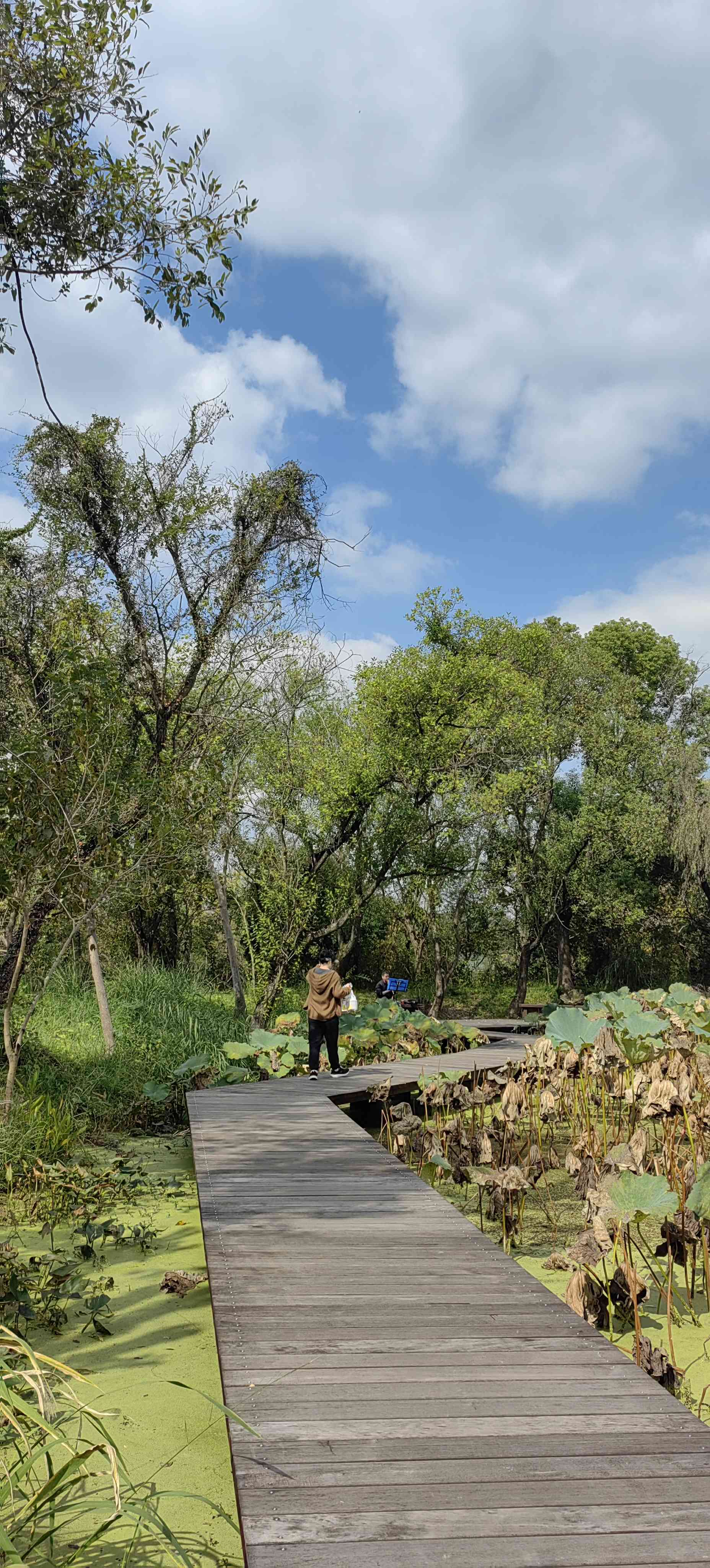 秋天是五颜六色的_2