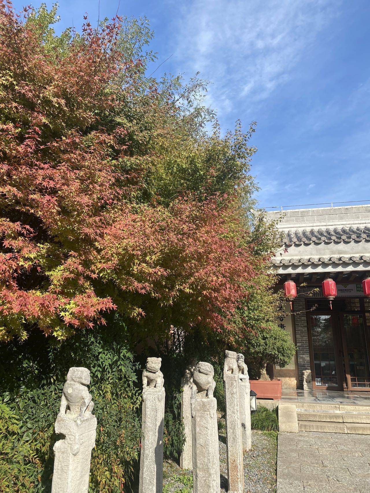 秋天的第一碗凉皮_1