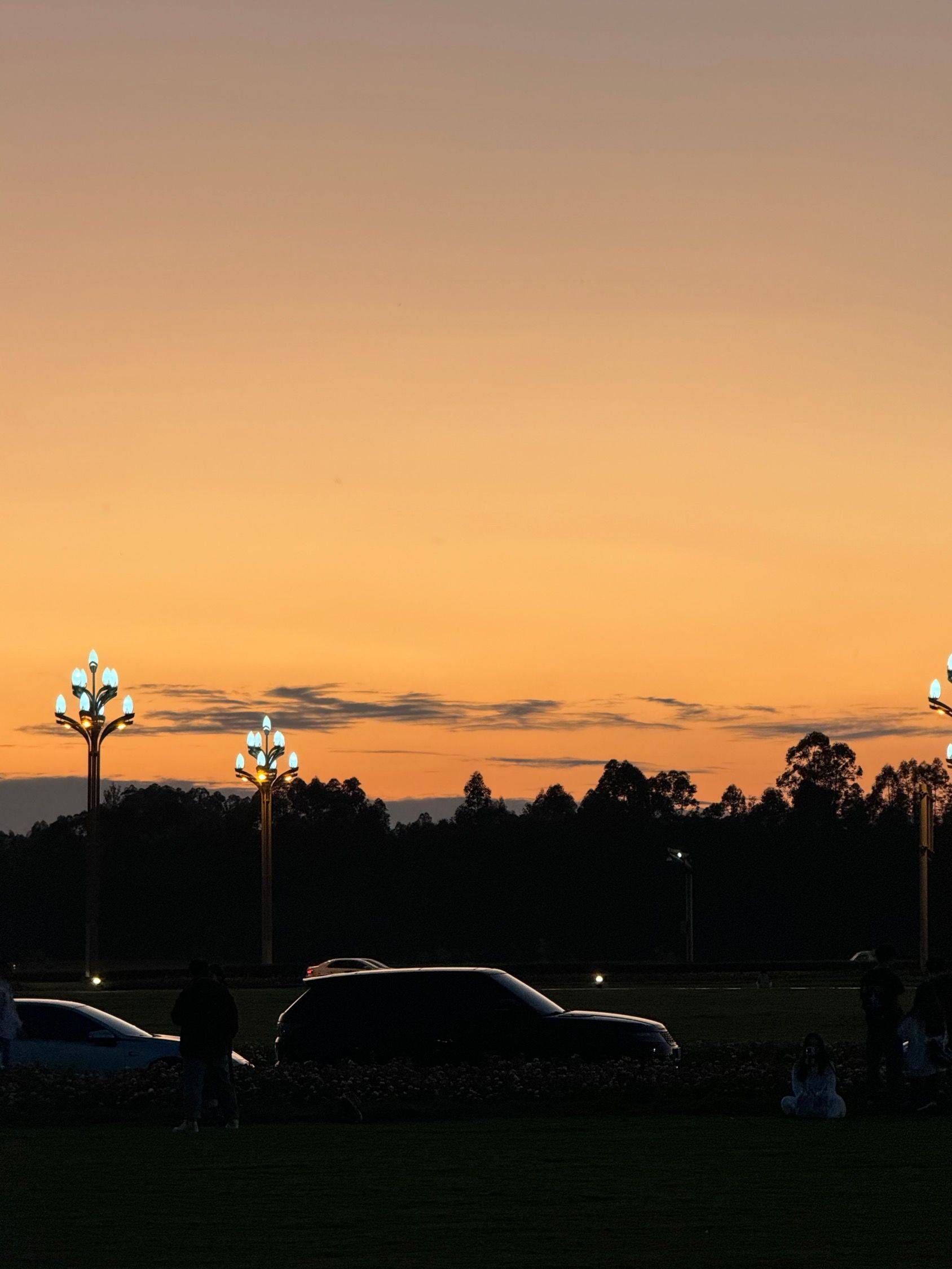 🌇