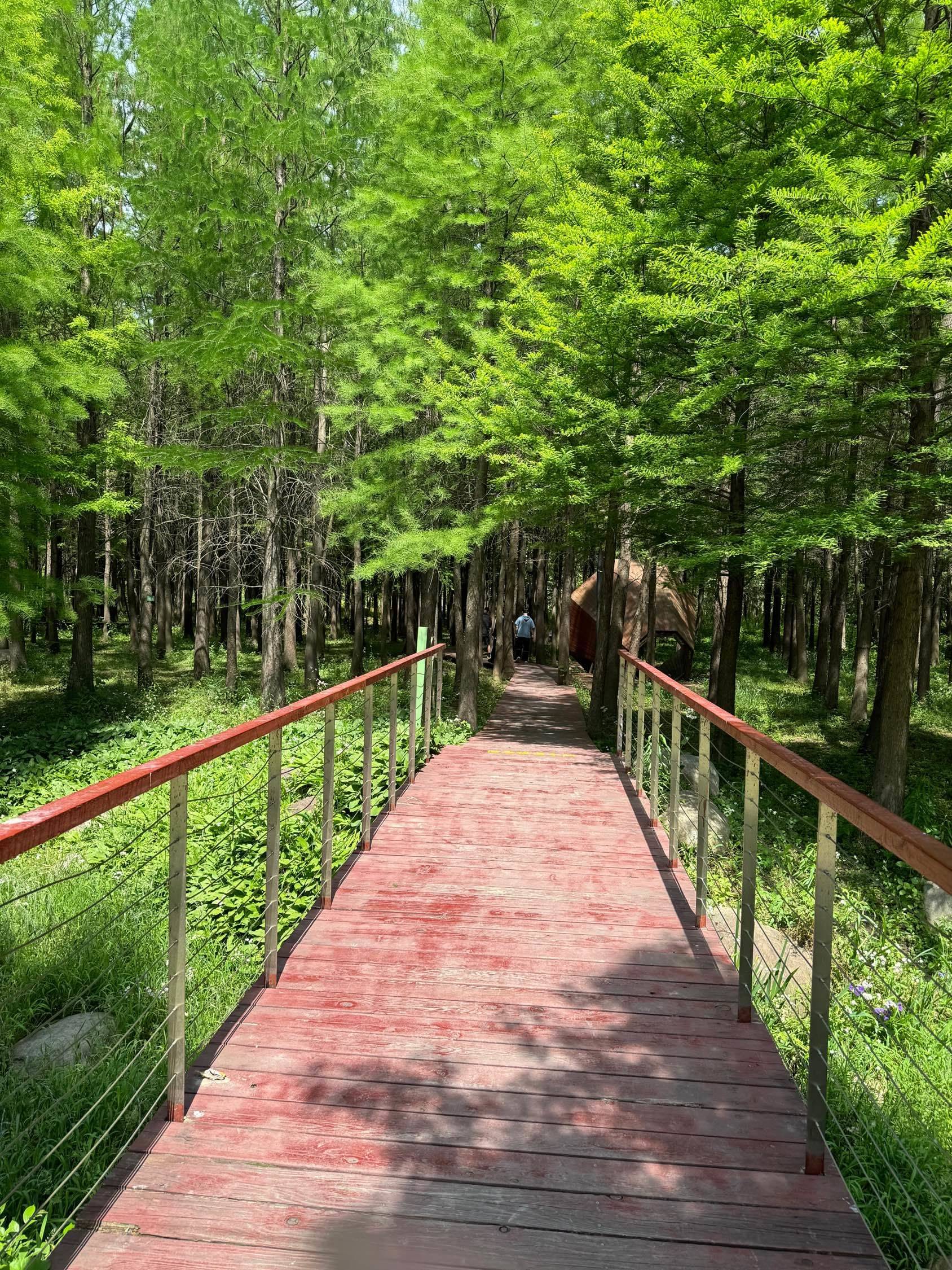 住在公园里，露营散步轻轻松松_2