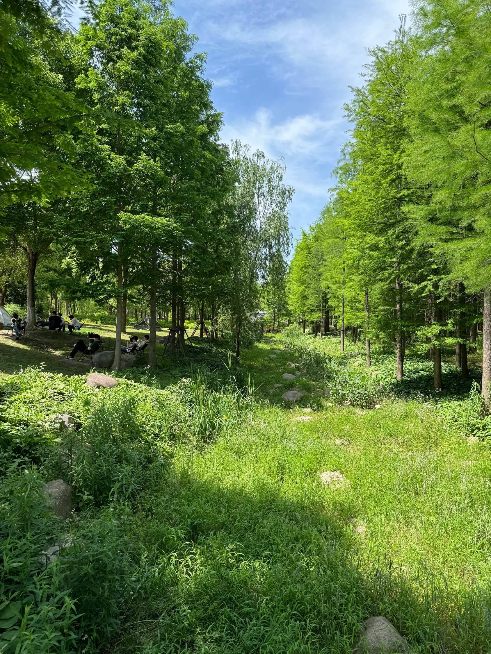 住在公园里，露营散步轻轻松松_1