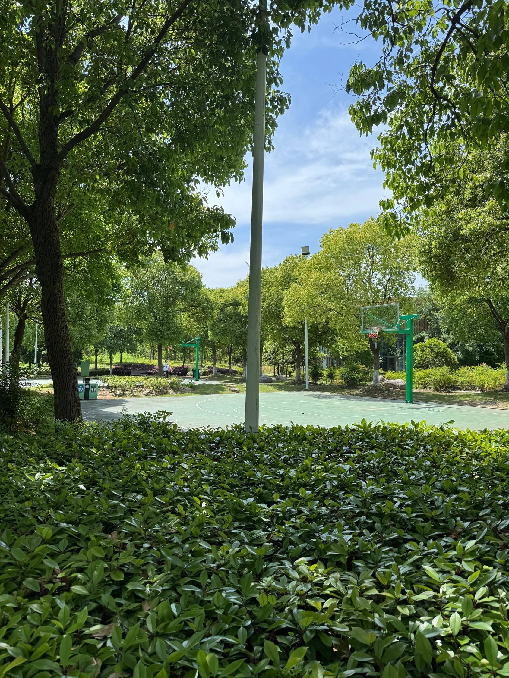 住在公园里，露营散步轻轻松松_3