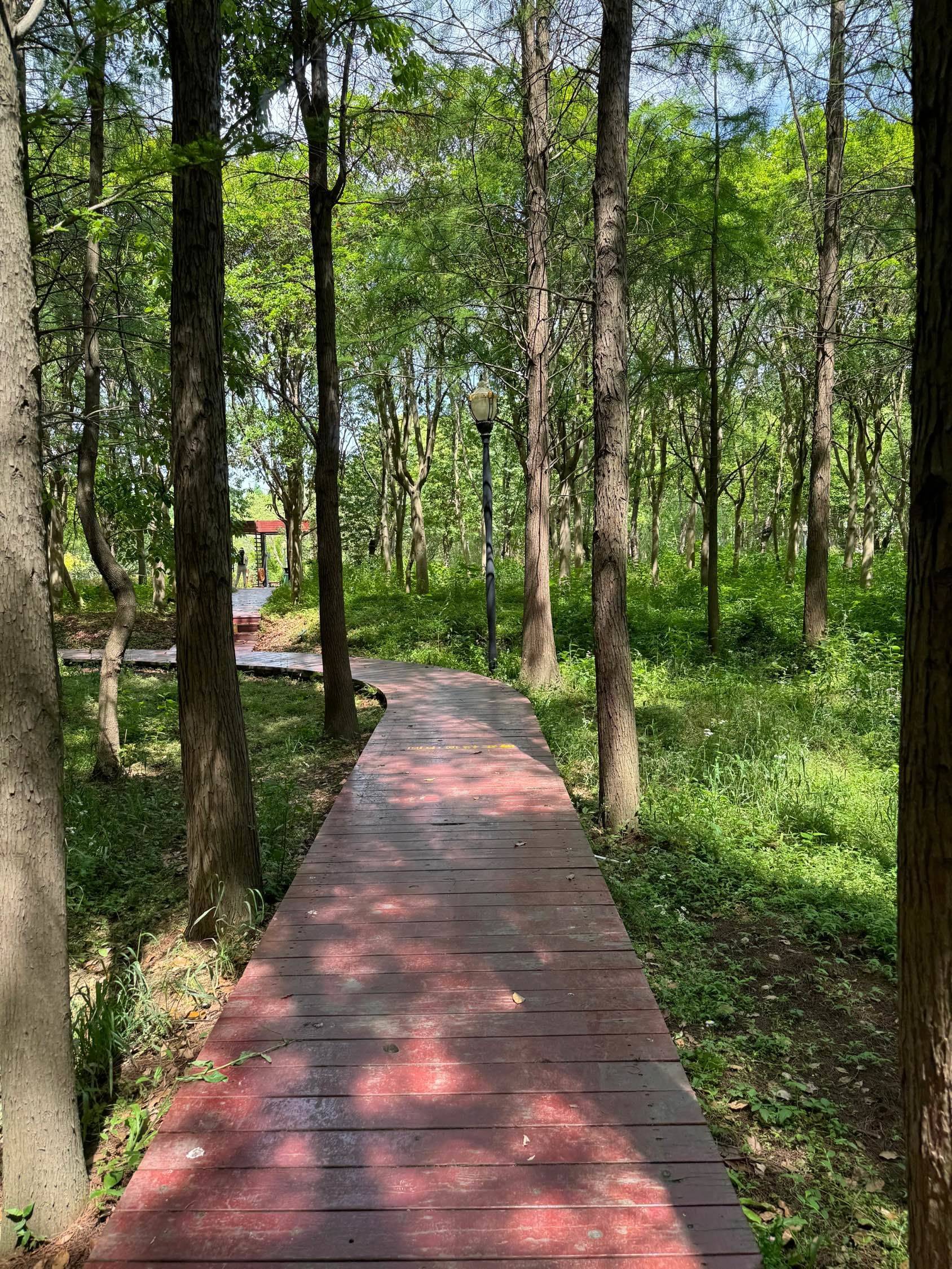 住在公园里，露营散步轻轻松松