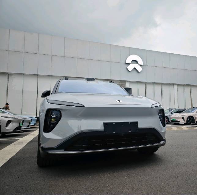 自在飞花轻似梦 - 你好蔚来！_2