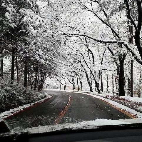 自在飞花轻似梦 - 你好蔚来！