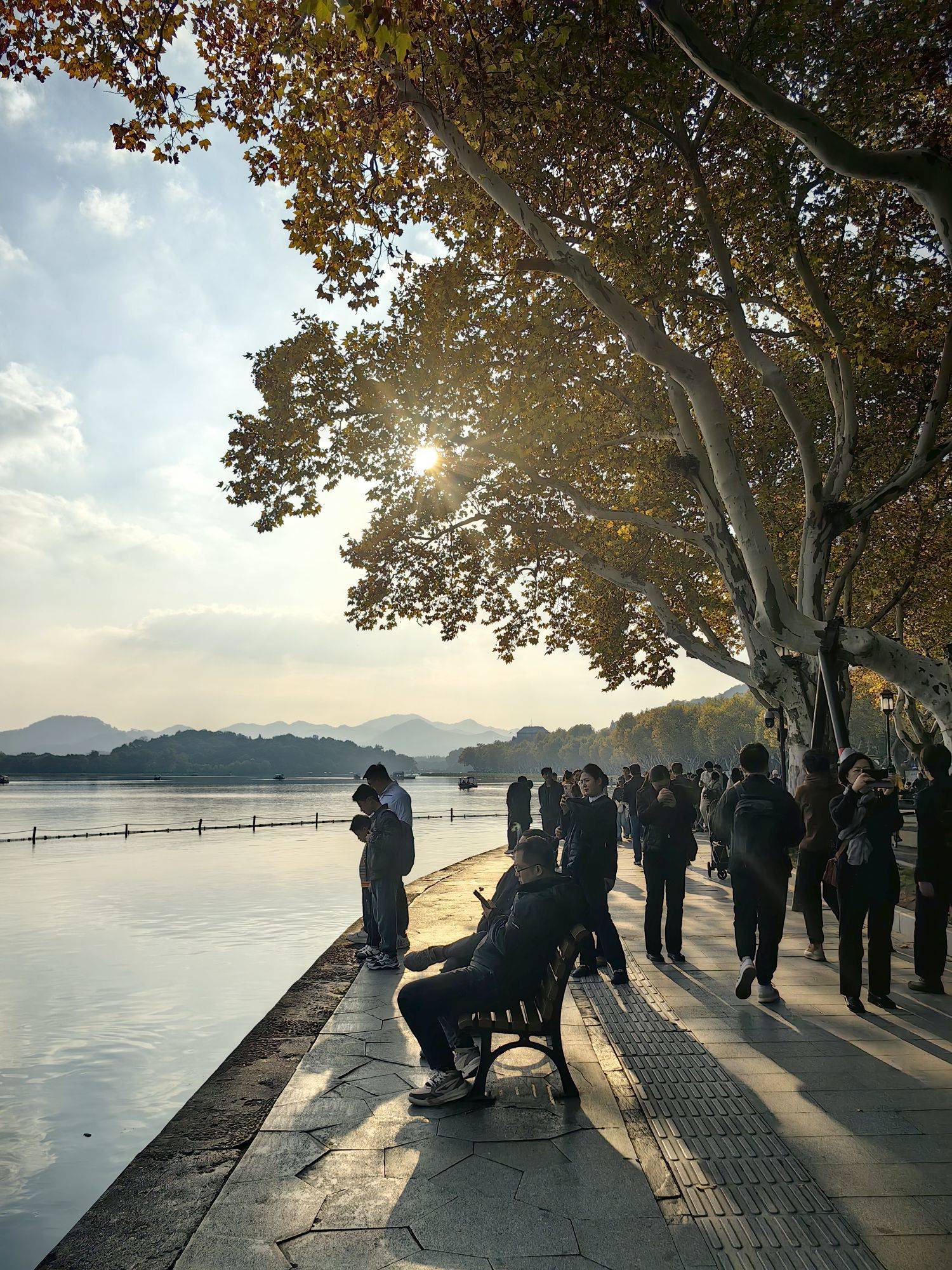 西湖北山街的秋天开始红了_3