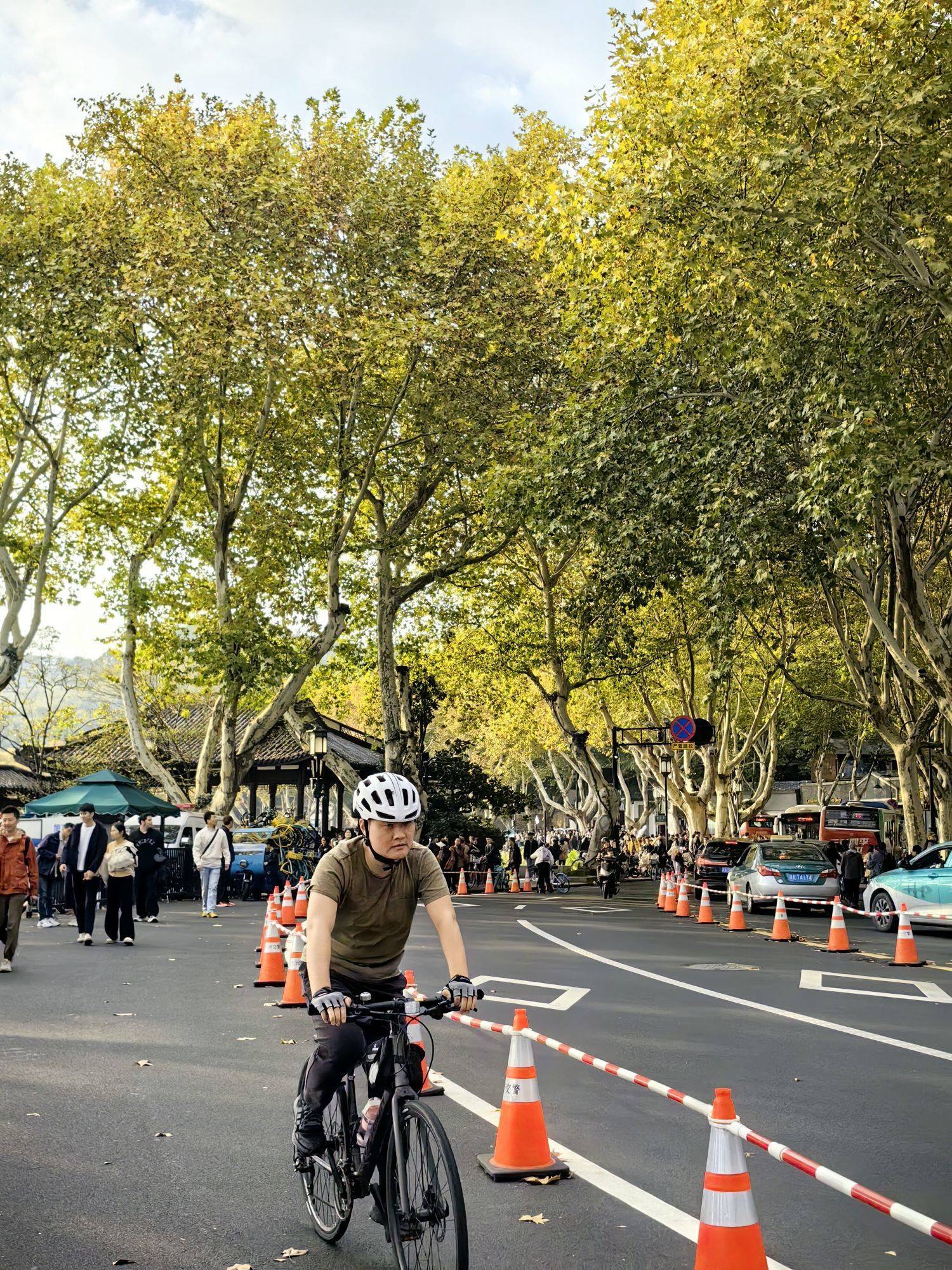 西湖北山街的秋天开始红了_1