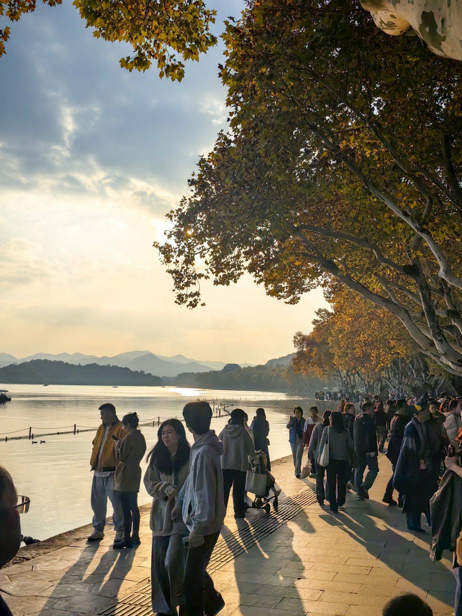 西湖北山街的秋天开始红了