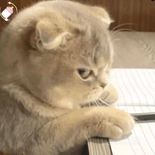 solo小区7楼，本人是房东 城市唤醒