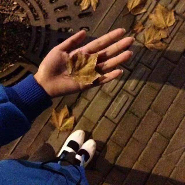 晒到阳光分你一半😺借来日的光与来日方长😸_3