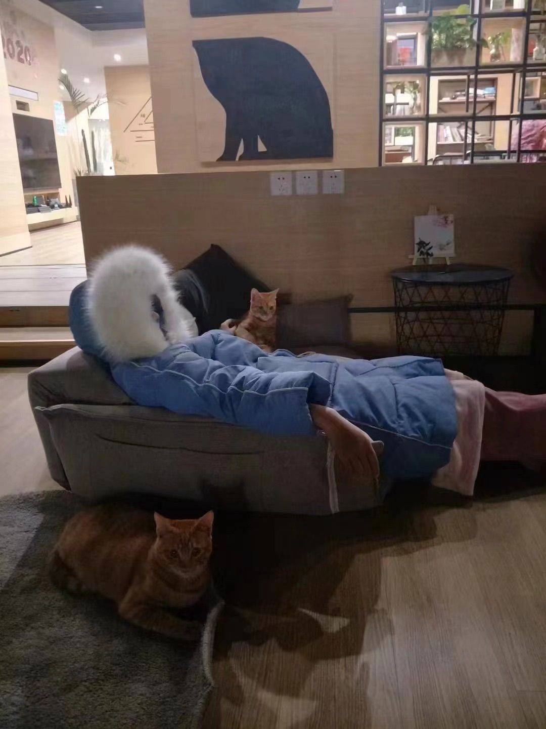 晒到阳光分你一半😺借来日的光与来日方长😸