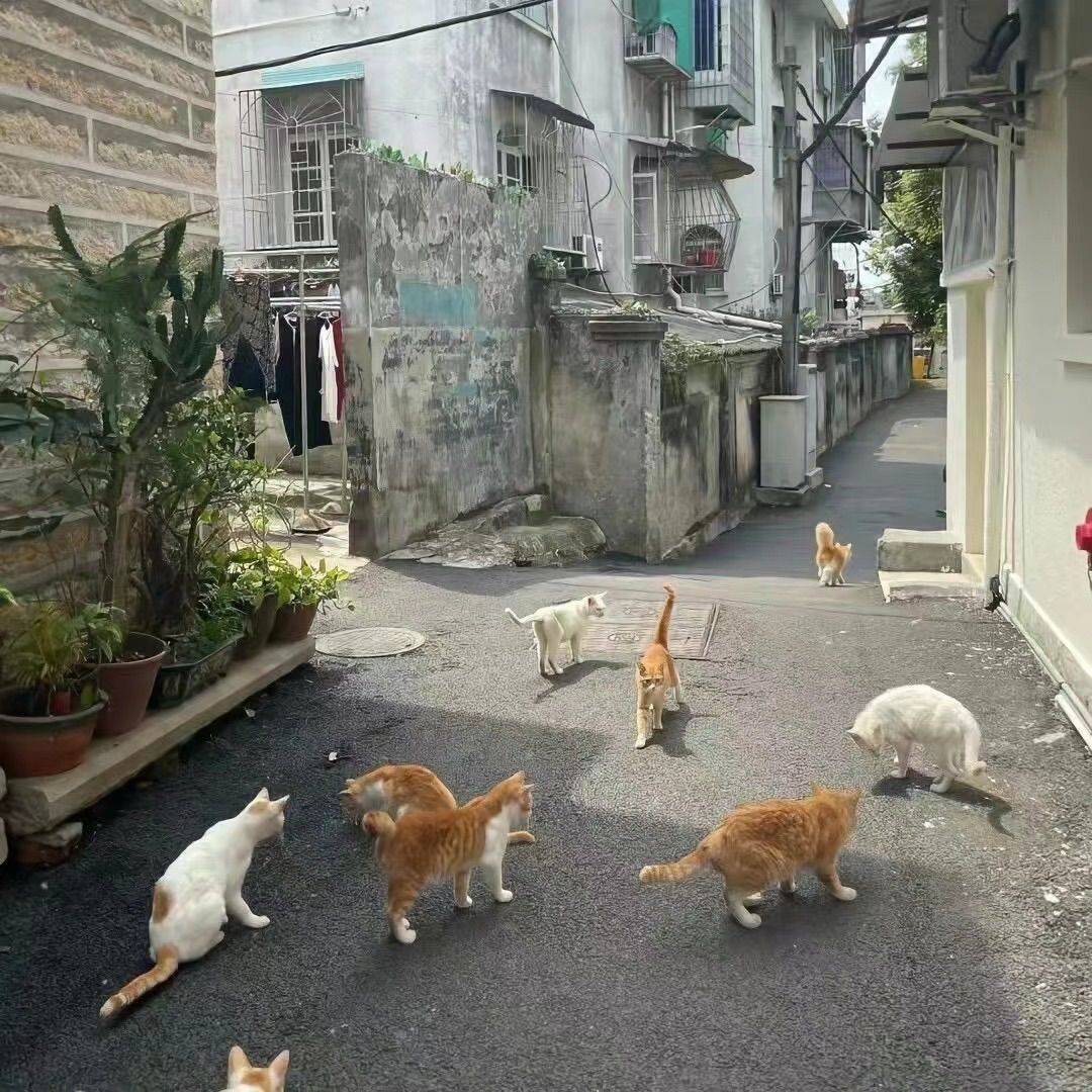 世间治愈的是愿意自渡的人🎨