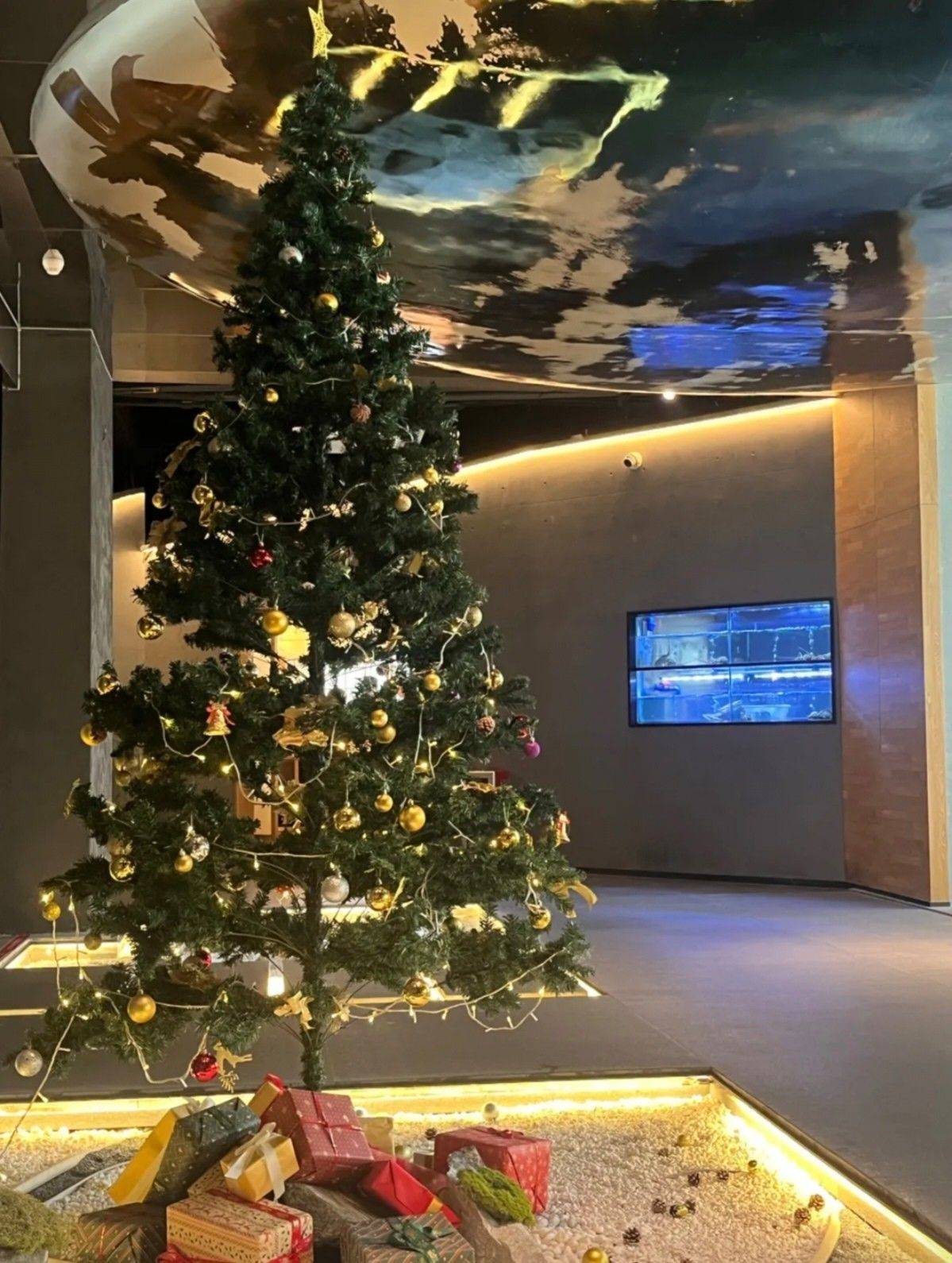 looking for tenants_1