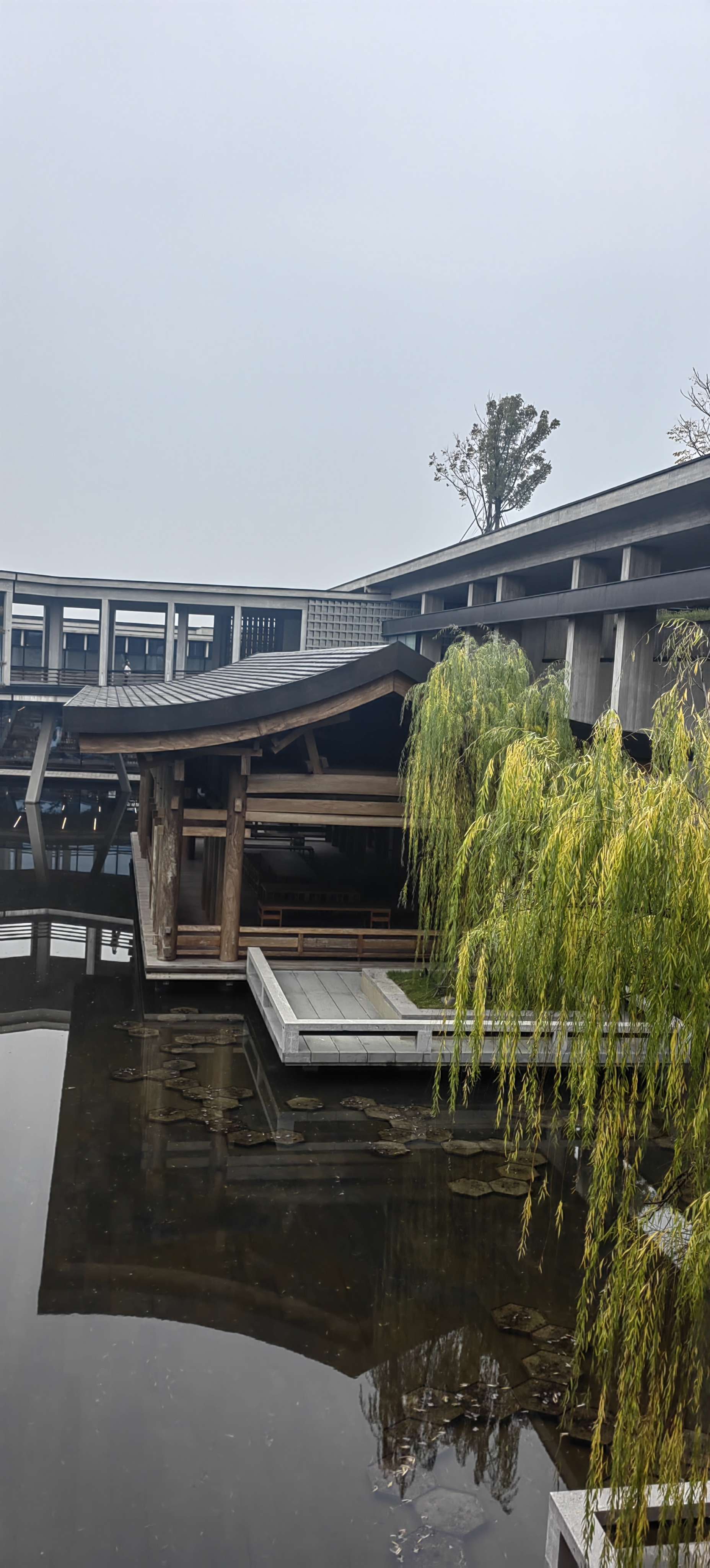  历史文化，国家版本馆 _2