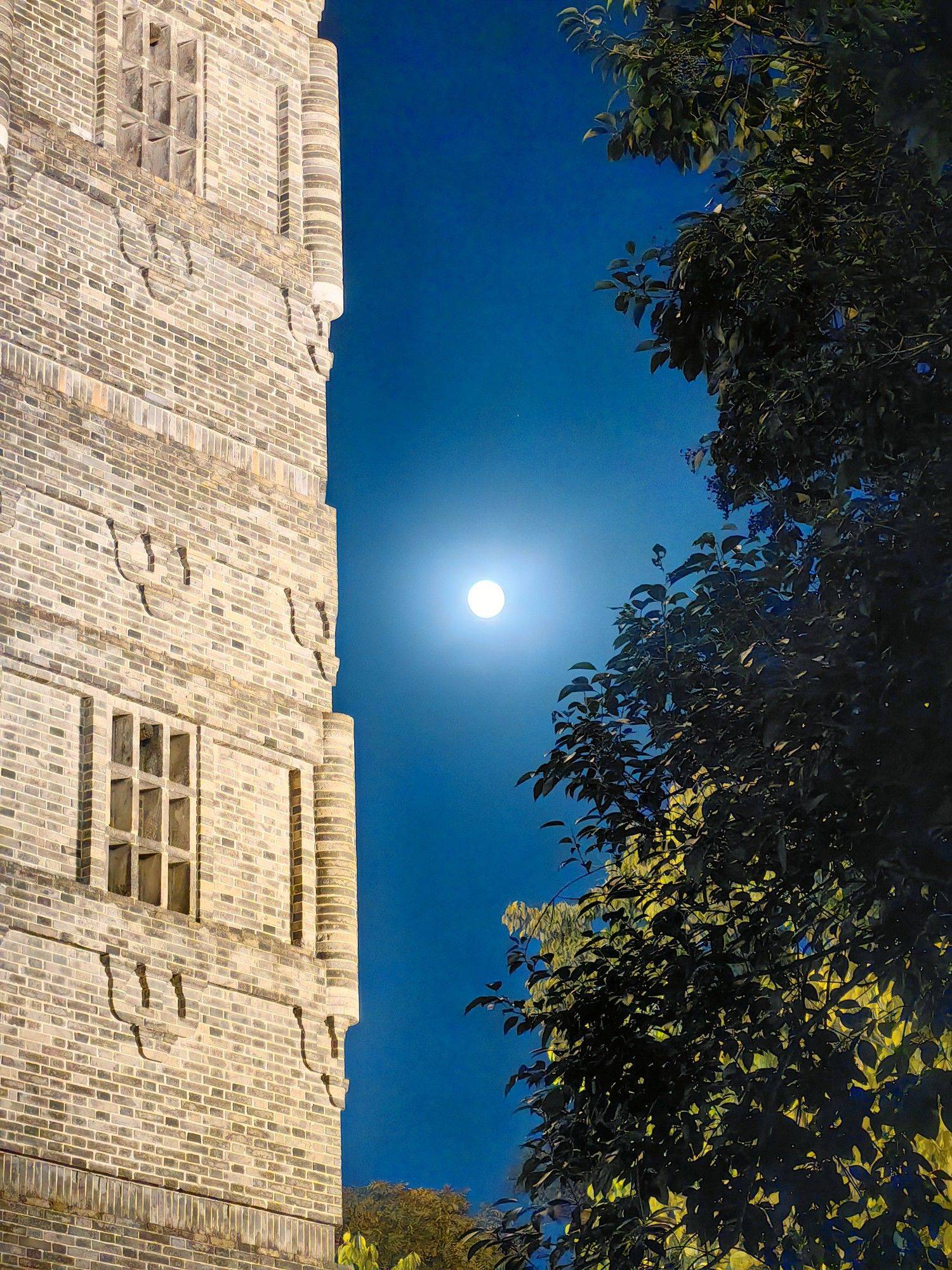 深秋月色撩人_2