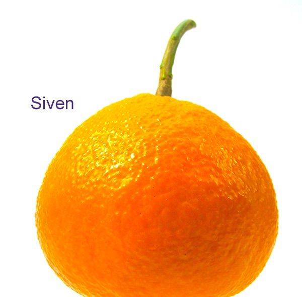 心情低落时 橘子分你一半 提升能量