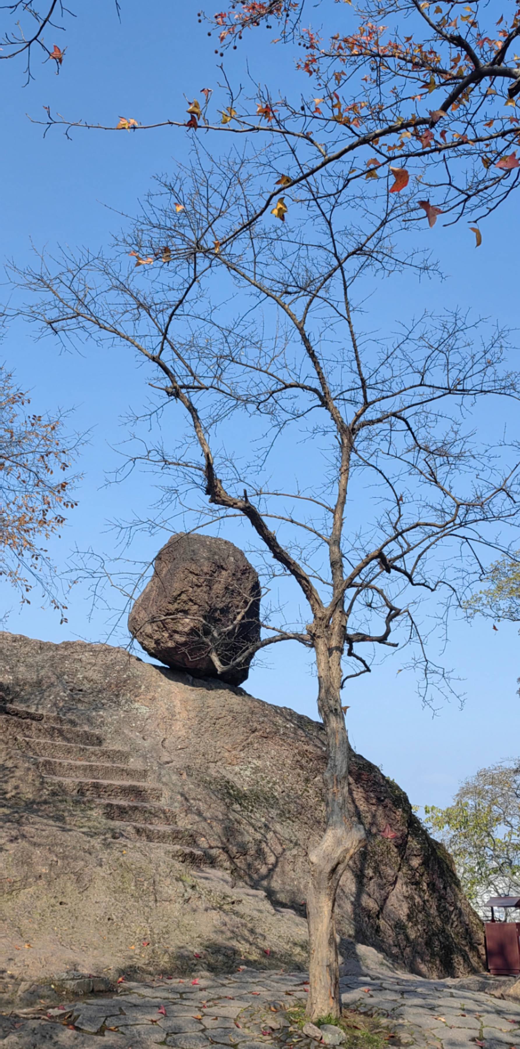  保俶塔， 吸氧快乐的一天
 享受_1