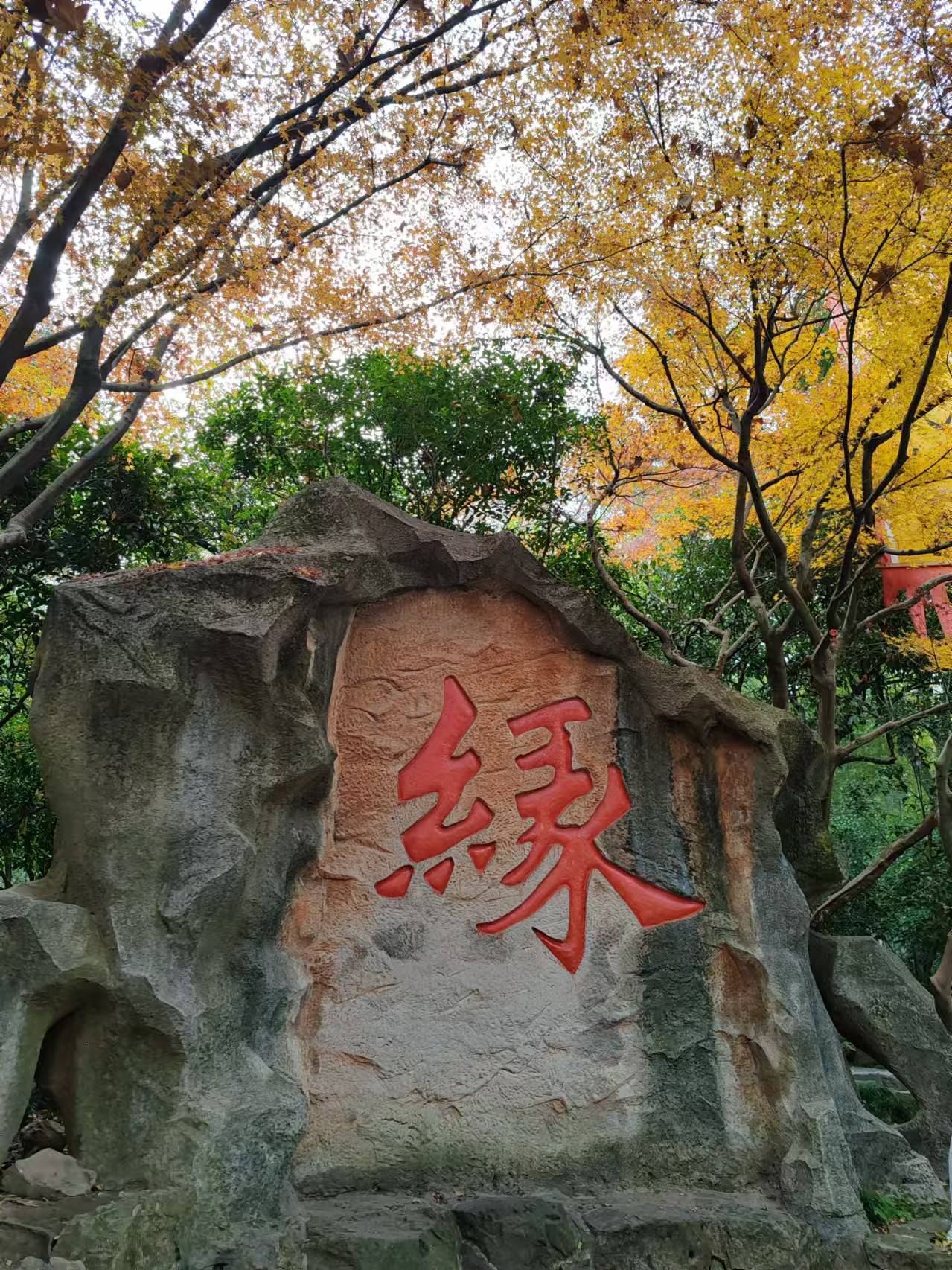  保俶塔， 吸氧快乐的一天
 享受_3