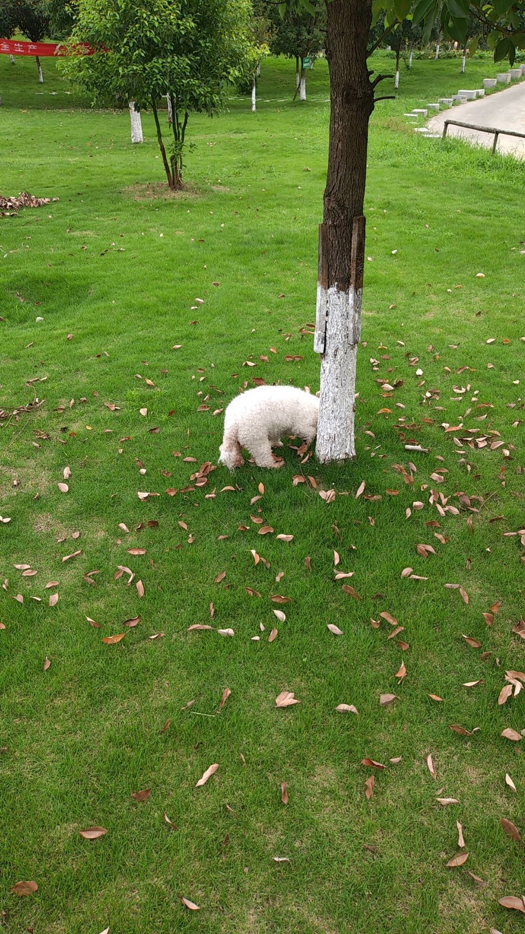 来看看我们小区吧_4